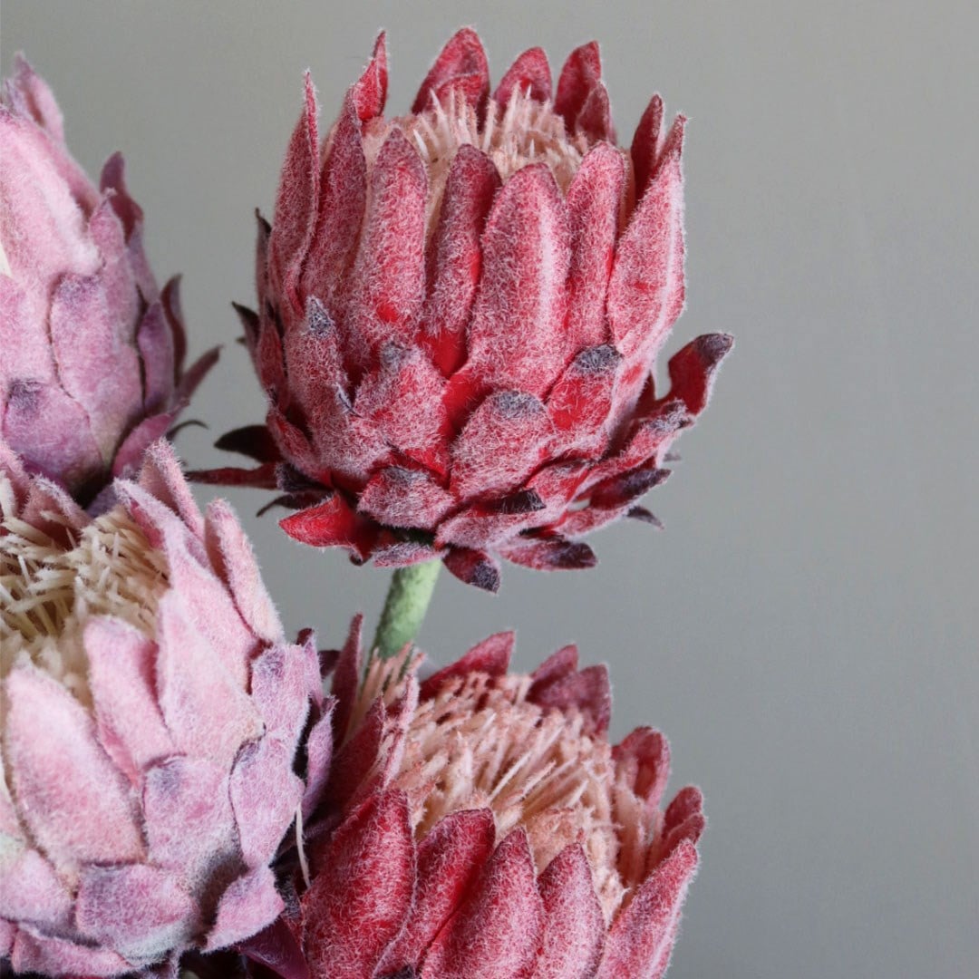 Yapay Protea Dal Pembe 62 cm - Yapay Çiçek Dalları ve Demetleri