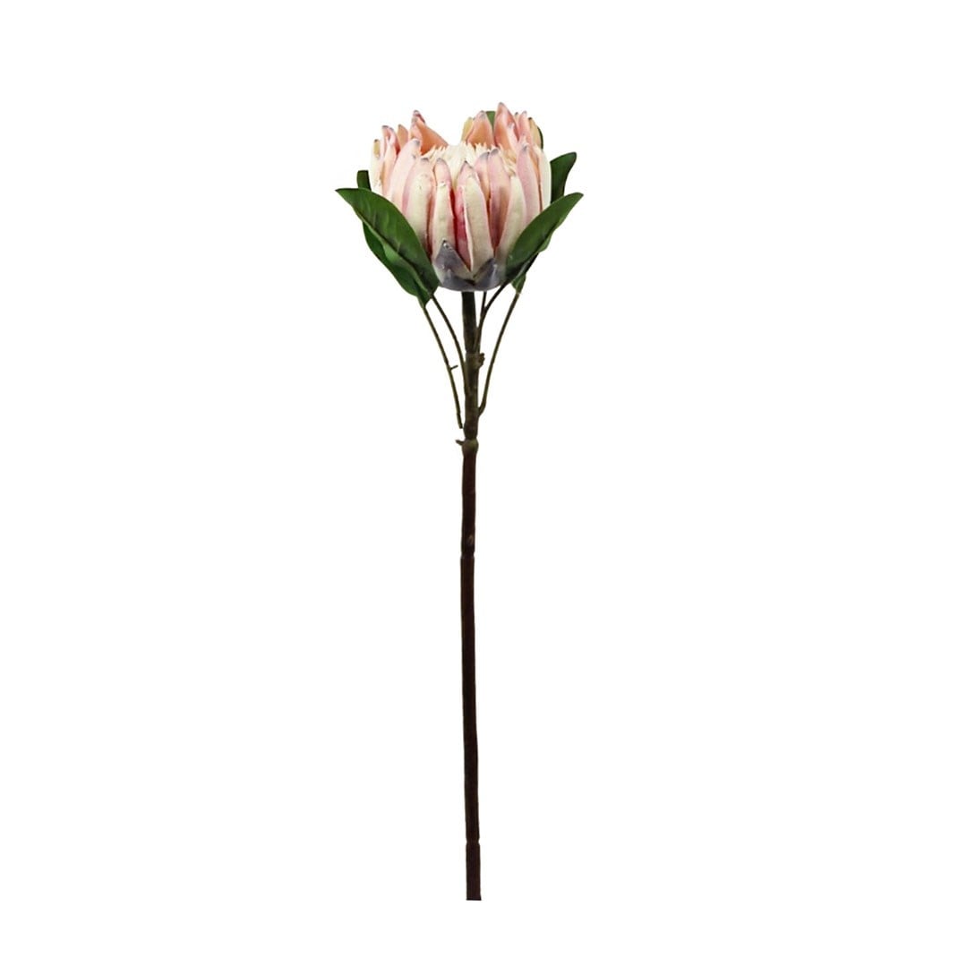 Yapay Protea Dal Pudra 70 cm - Kategorisiz