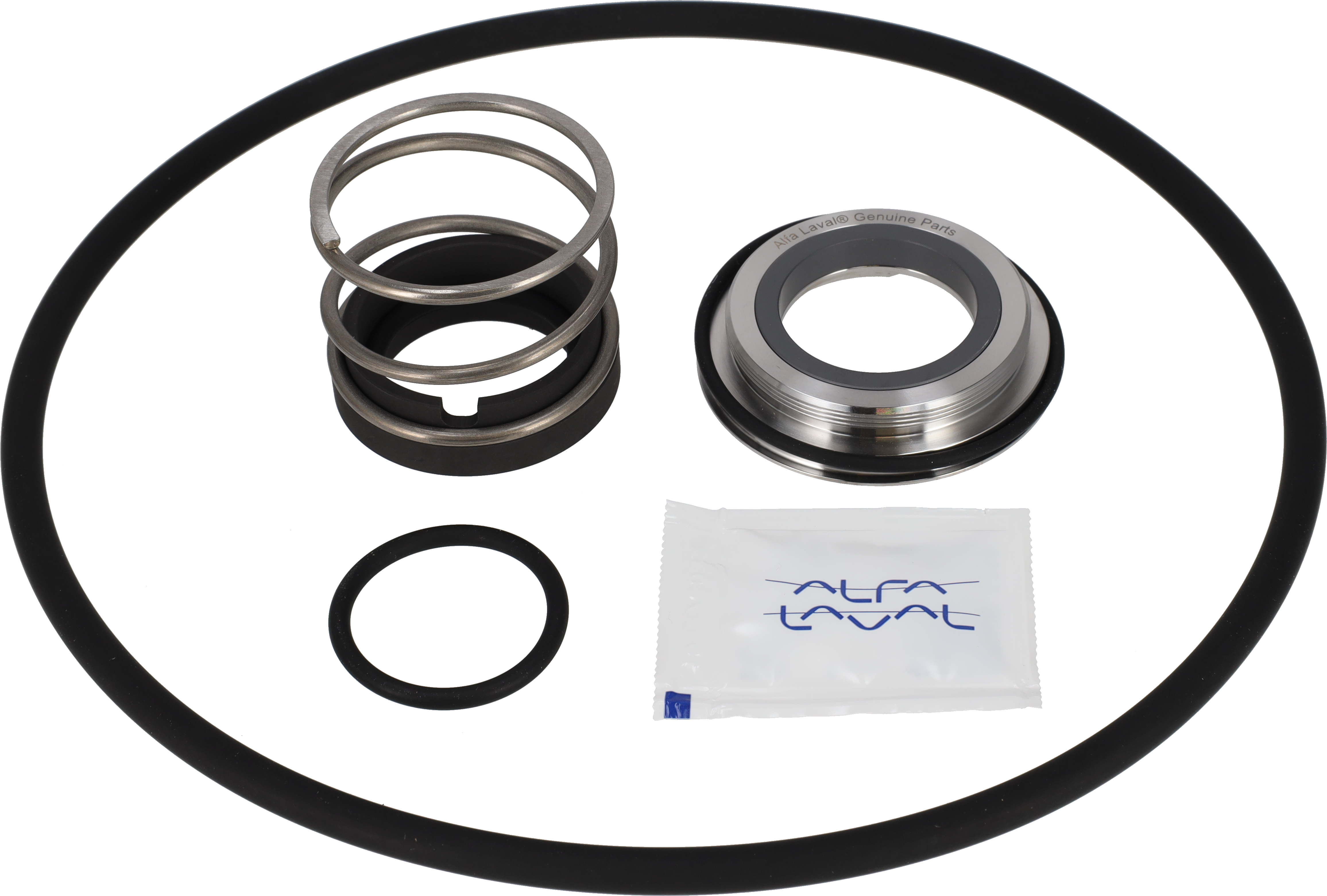 SERVICE KIT FPM LKH-20 C/SIC SINGLE SHAFT SEAL AND