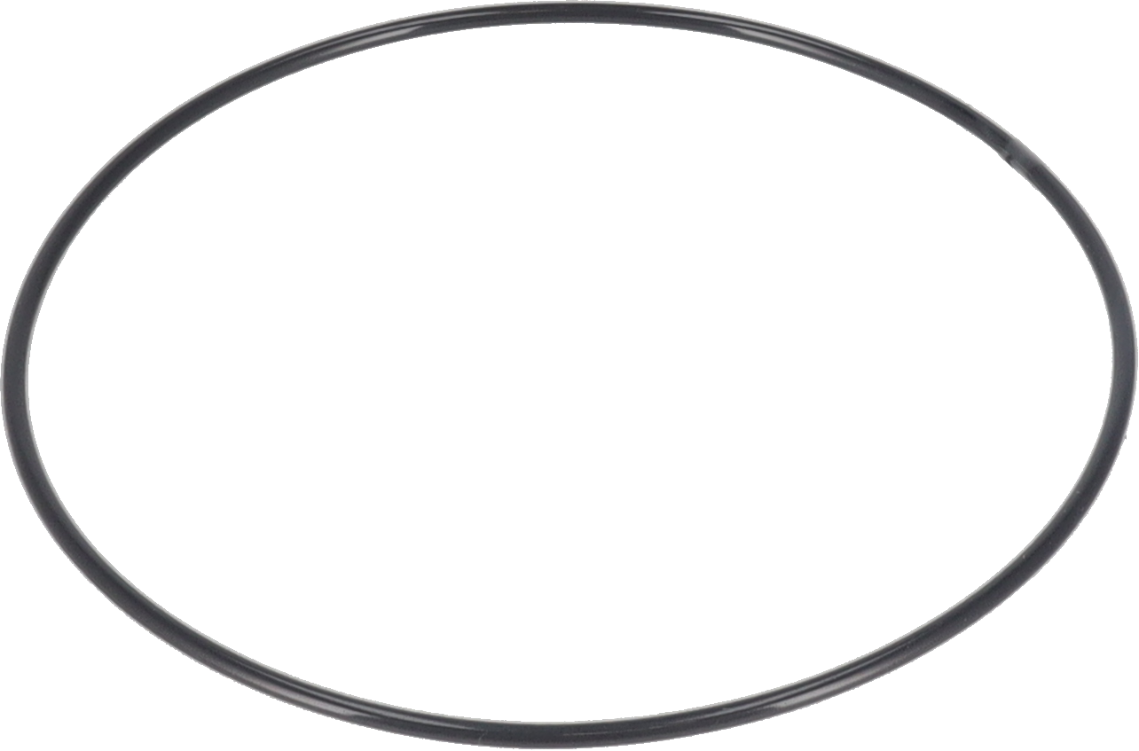 O-RING FPM/FEP - BETWEEN WELDING AND MOUNTING FLANGE Ø200/Ø220