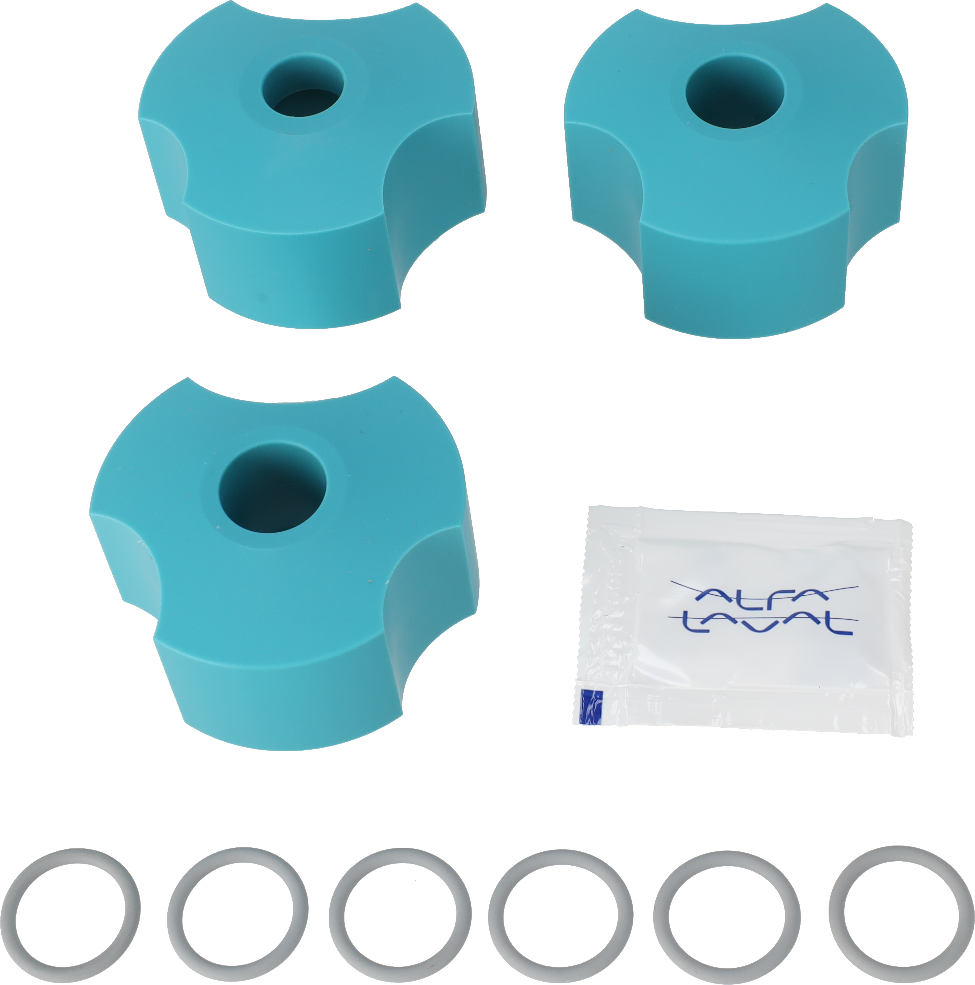 SERVICE KIT FOR BOTTOM SUPPORT - BS2 Ø35/Ø40/Ø50 EPDM