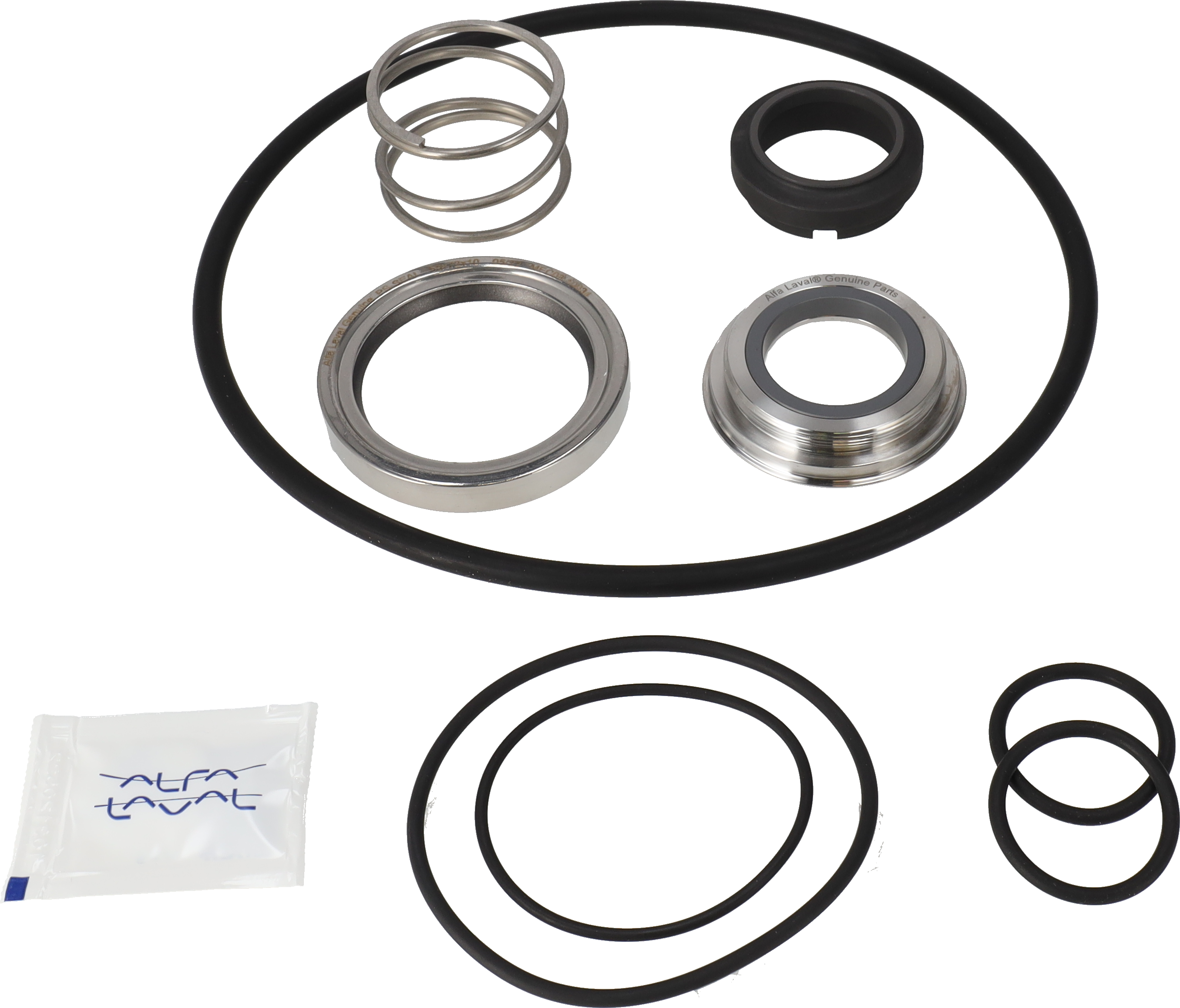 SERVICE KIT FPM LKH-10/15 C/SIC FLUSHED SHAFT SEAL