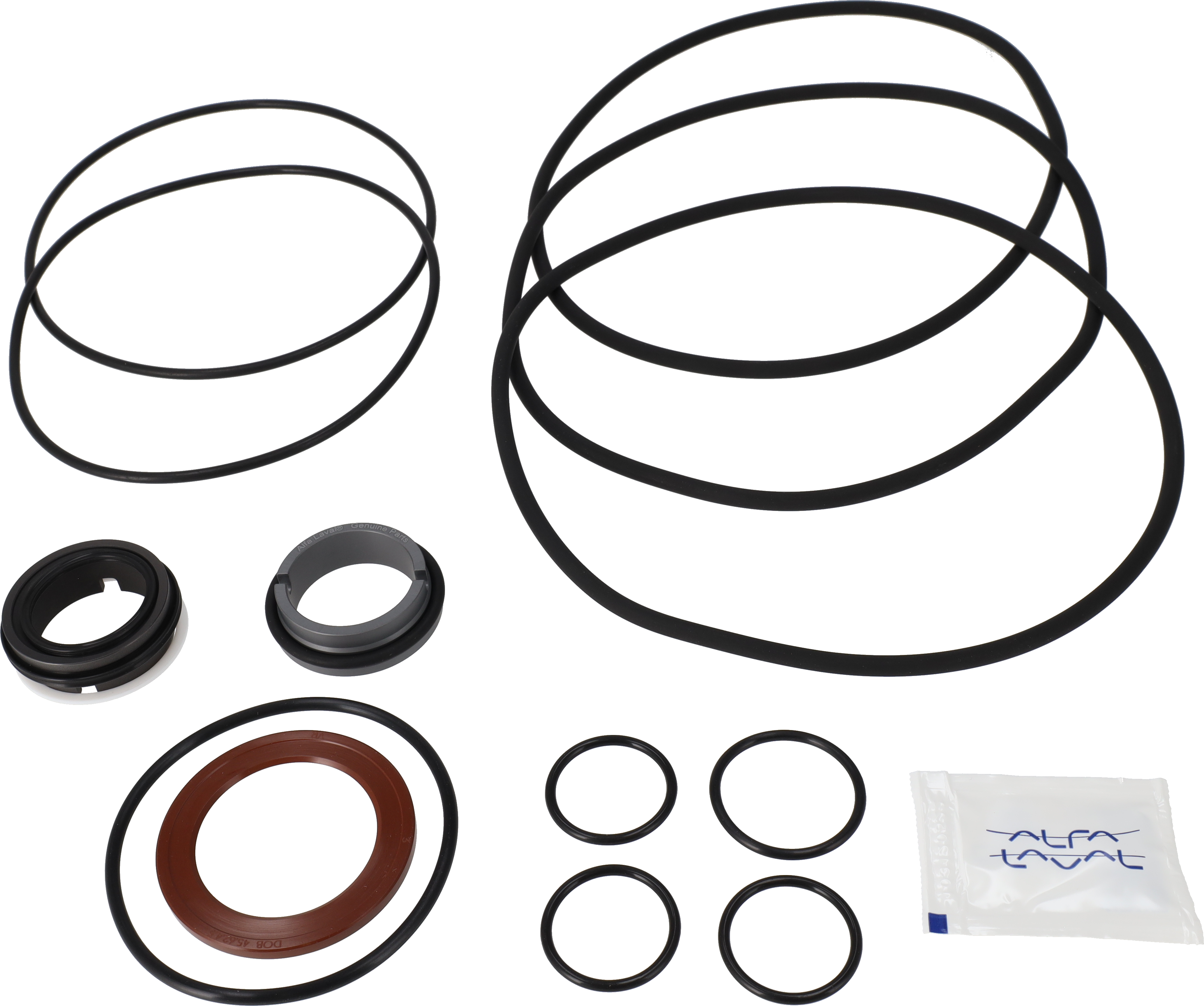 SERVICE KIT FPM LKH-113 C/SIC FLUSHED SHAFT SEAL
