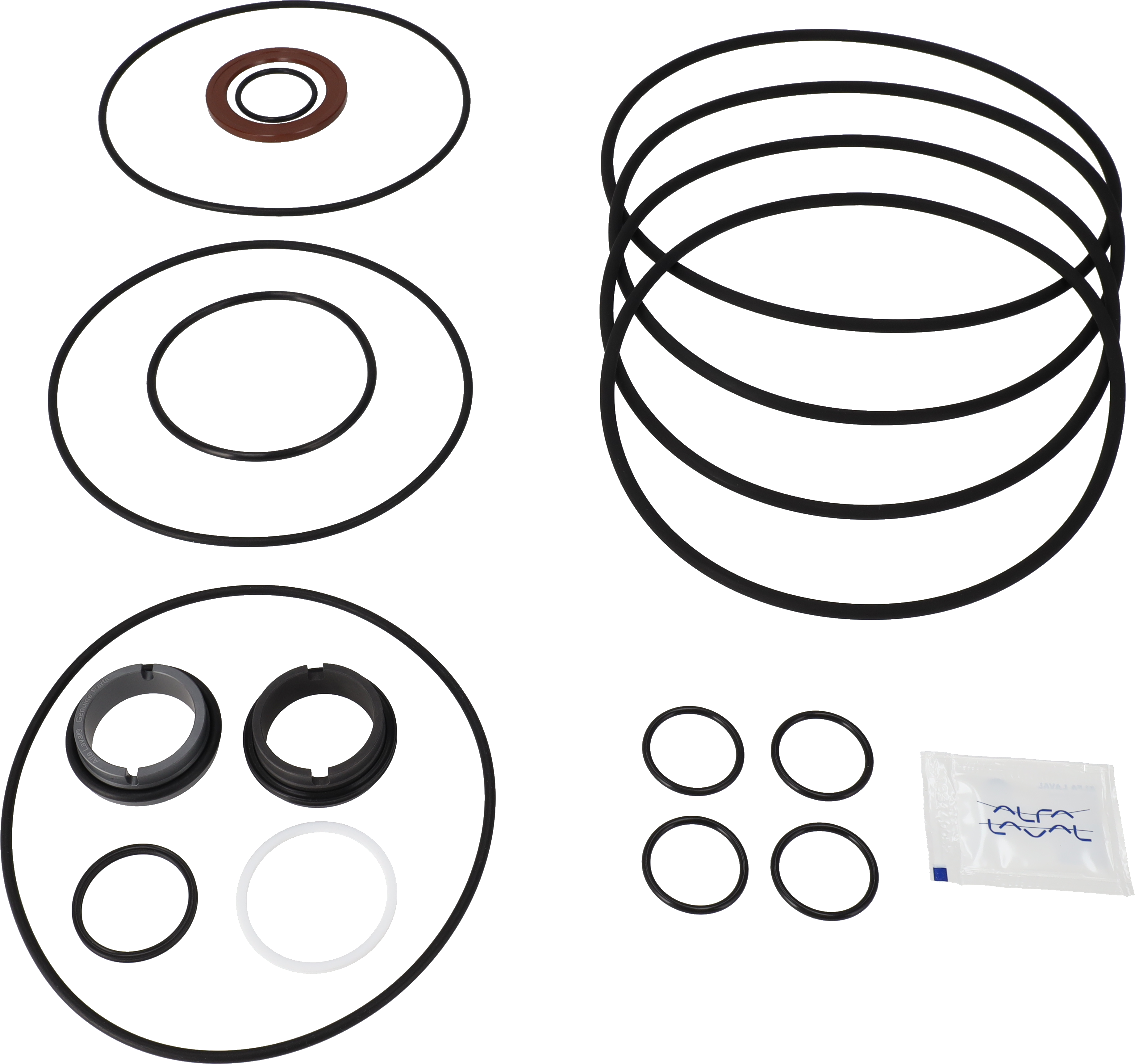 SERVICE KIT FPM LKH-114 C/SIC FLUSHED SHAFT SEAL