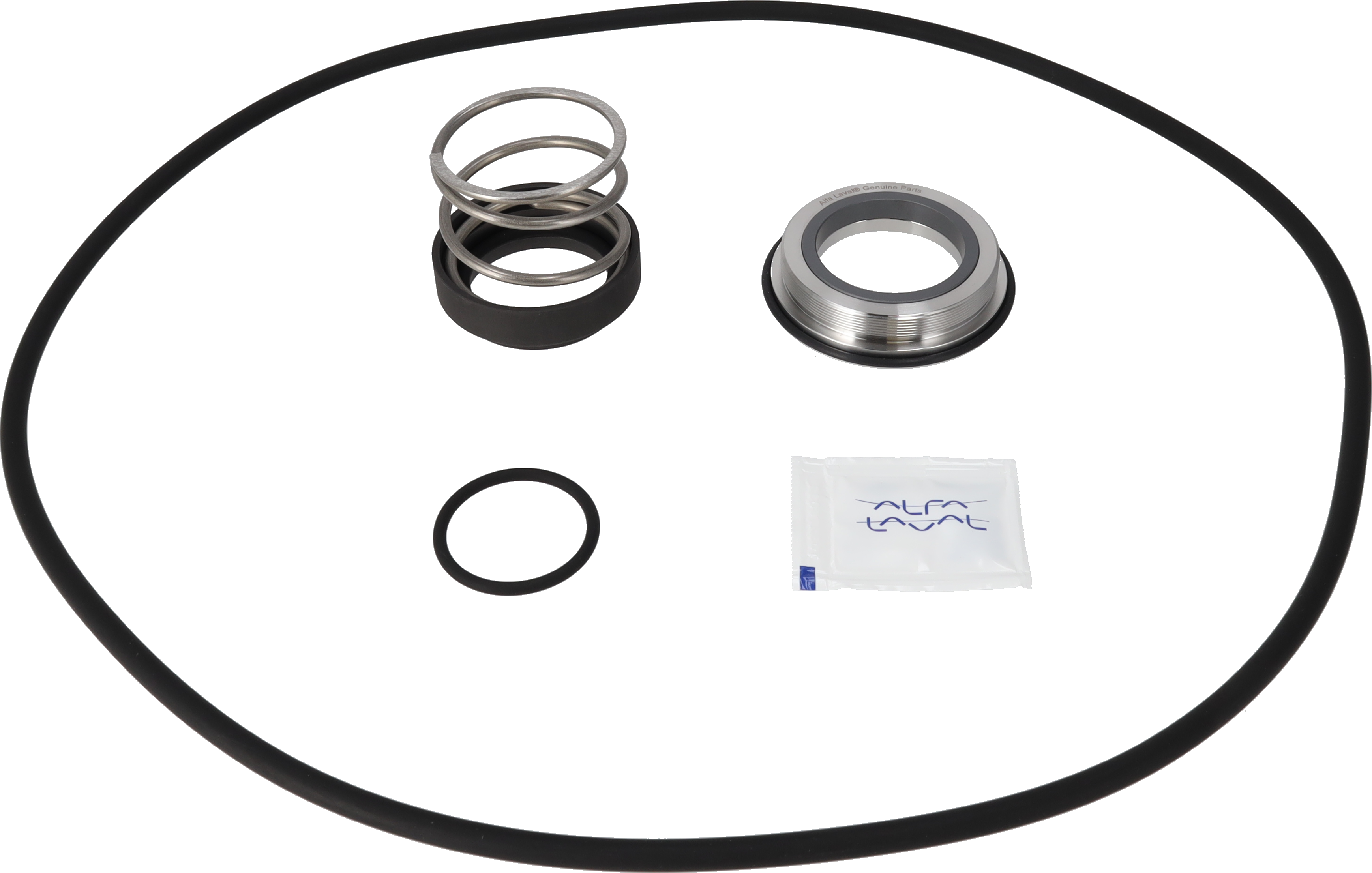 SERVICE KIT FPM LKH-70 C/SIC SINGLE SHAFT SEAL
