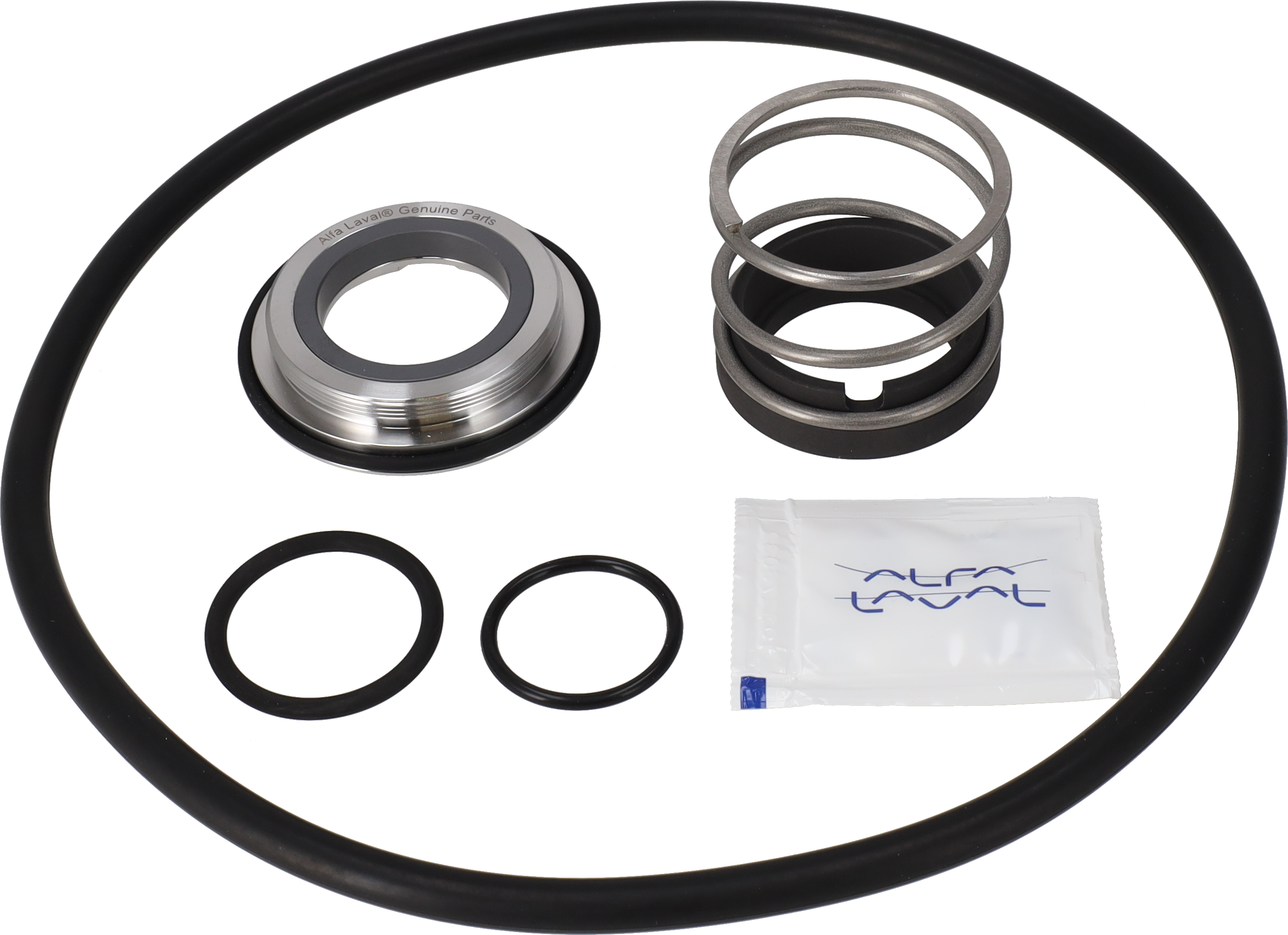 SERVICE KIT FPM SOLIDC-1 C/SIC SINGLE SHAFT SEAL