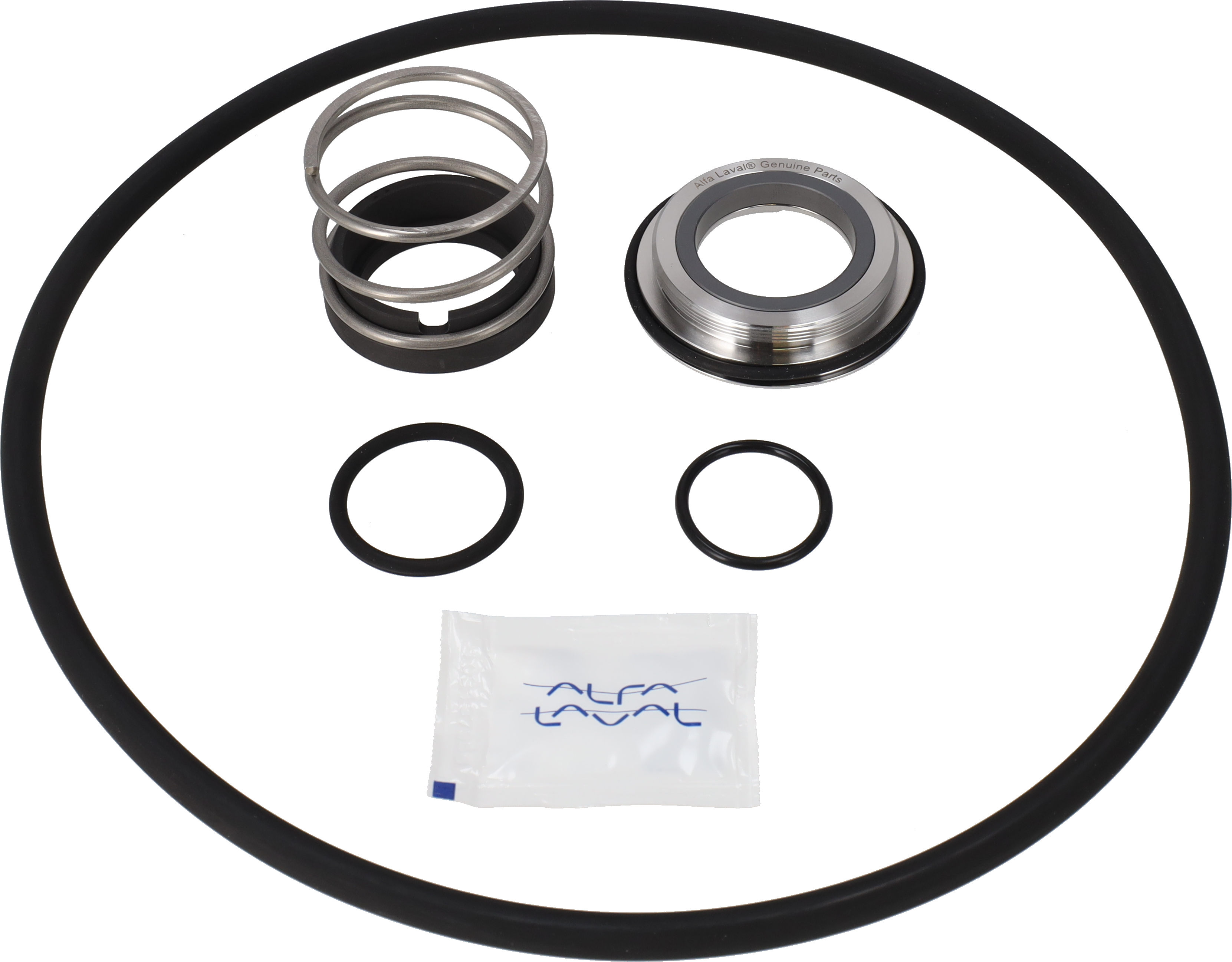 SERVICE KIT FPM SOLIDC-2 C/SIC SINGLE SHAFT SEAL