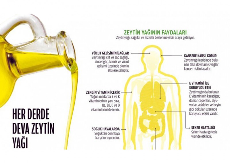 Zeytin ve Zeytinyağının Faydaları