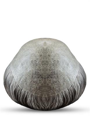 S-Well | Super Skin Plus White Erkek Protez Saç Modeli