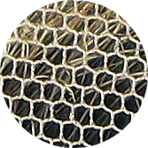 Protez Saç Mono Lace Front Ön Tül