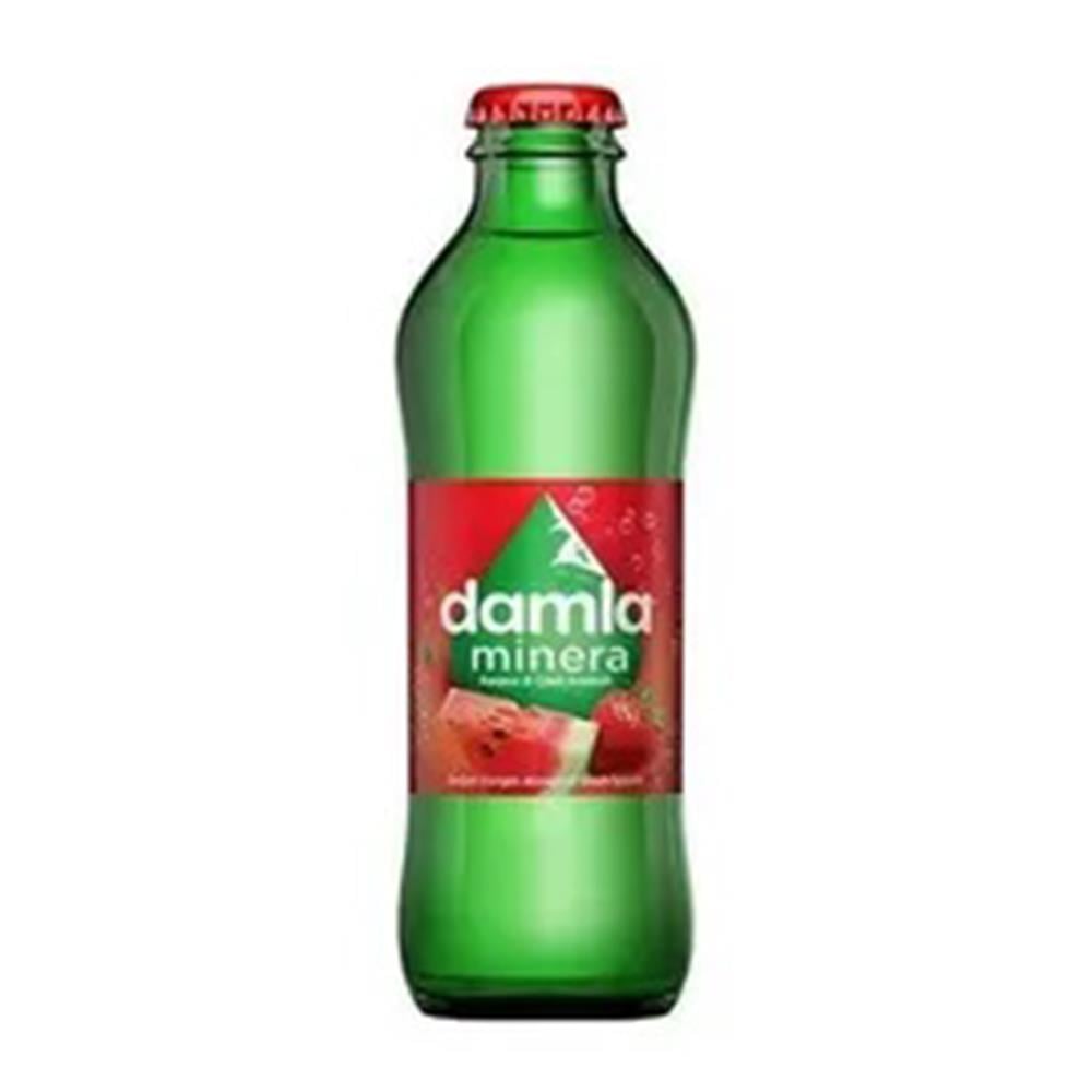 DAMLA ÇİLEK-KARPUZ 200 MLMADENSUYUDAMLA780501