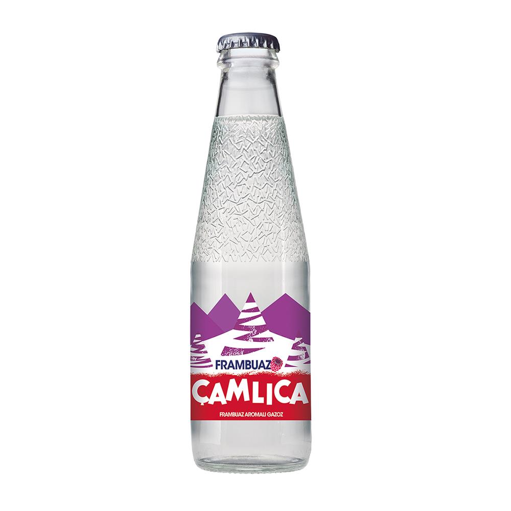 ÇAMLICA GAZOZ FRAMB. AROMALI 200MLGAZOZÇAMLICA525509