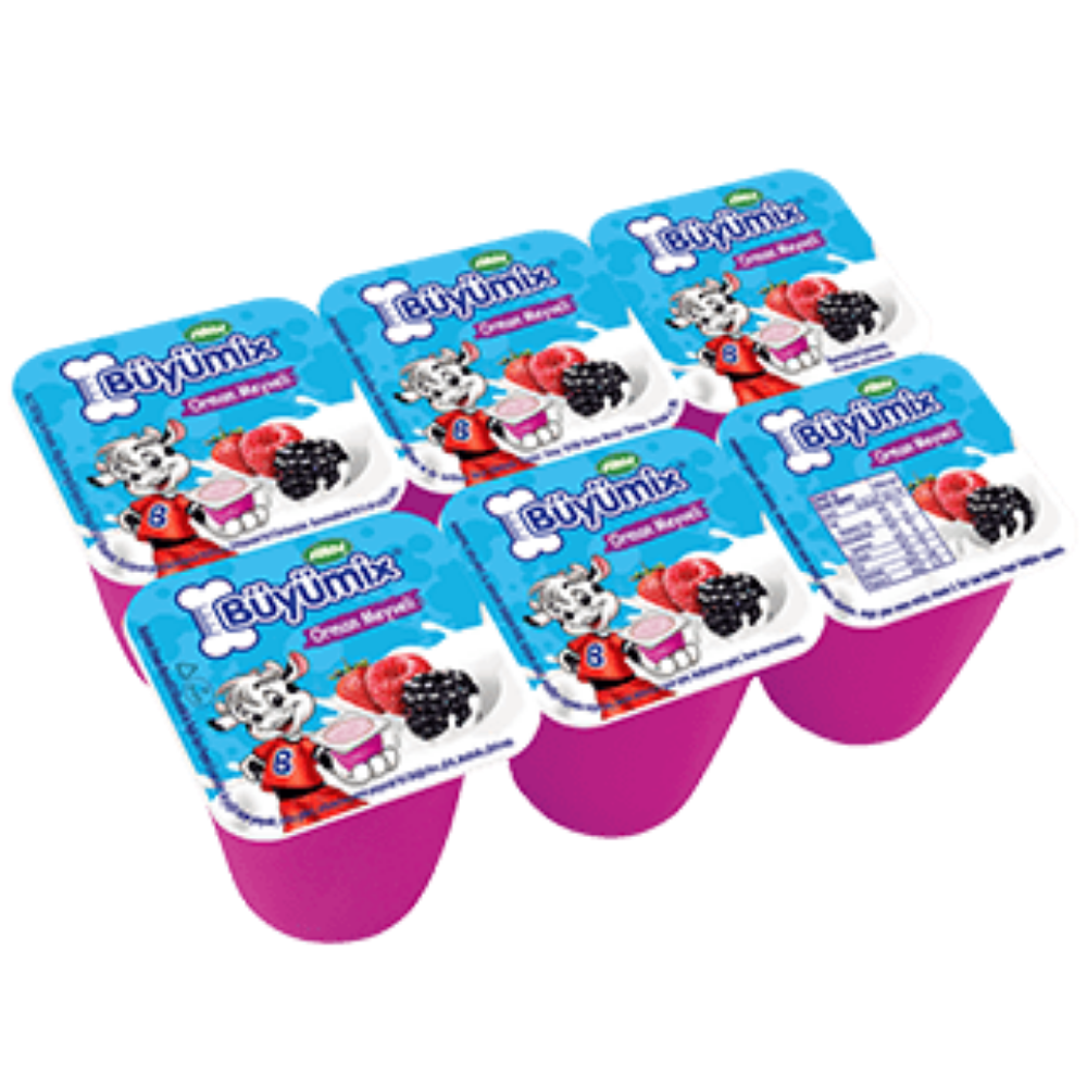 SÜTAŞ BÜYÜMİX ORMAN6*40 GRSÜTSÜTAŞBUYUMIX1