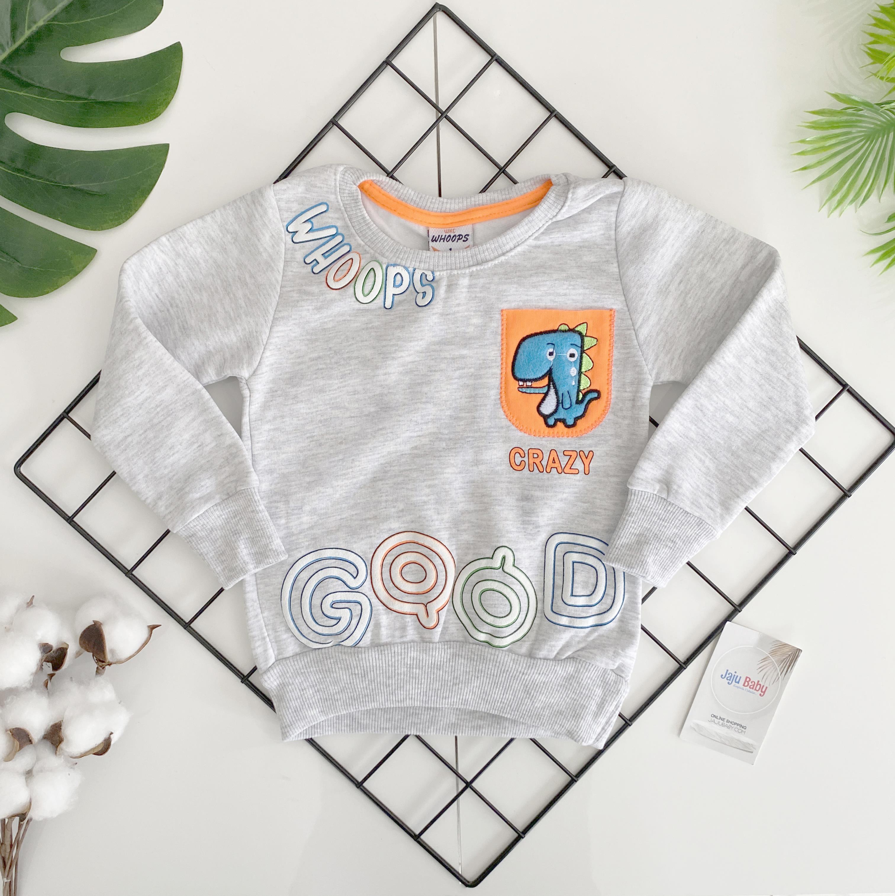 Jaju Baby Erkek Çocuk Gri Renk Dinazor Nakışlı Bisiklet Yaka Sweatshirt