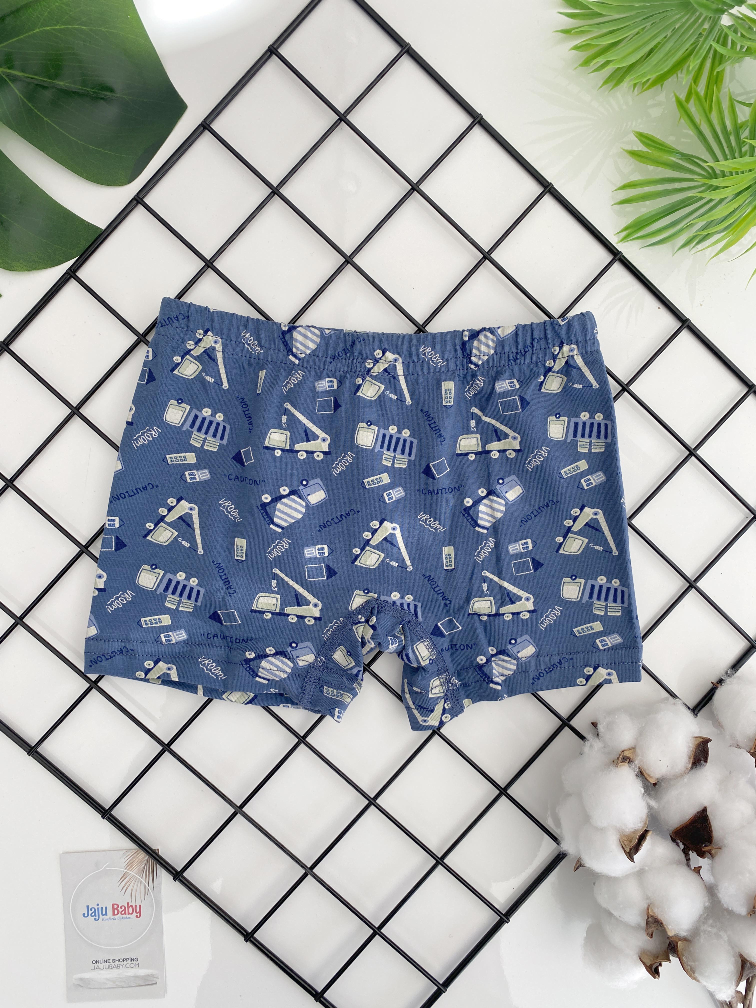 Jaju Baby Erkek Çocuk Mavi Renk Desenli Boxer