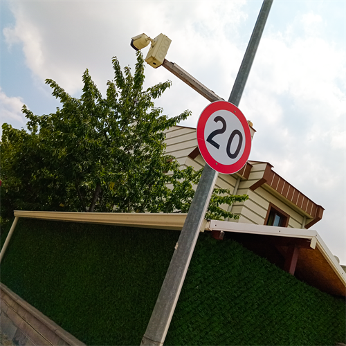 Azami Hız Sınırlaması 10 Levhası TT-29