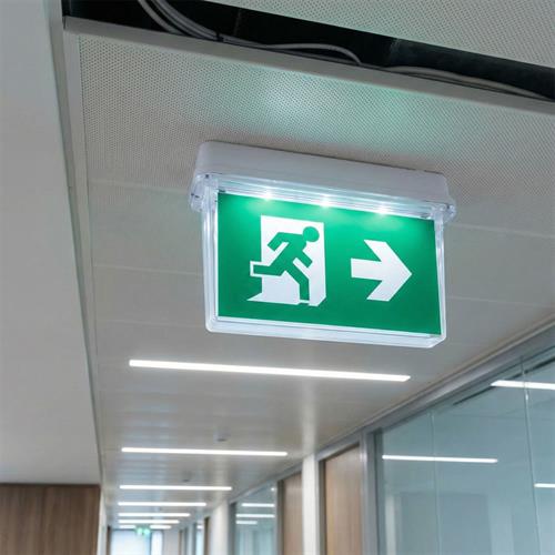 Çiftyüz Acil Çıkış Yönlendirme Armatürü B Seri 118 x 355 x 215mm