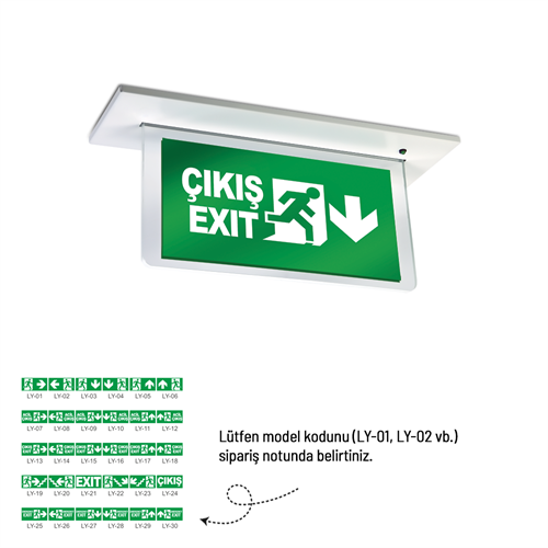 Çiftyüz Sıva Altı Acil Çıkış Yönlendirme Armatürü EKO SF Seri 40 x 200 x 150 mm