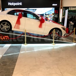 Pirinç Protokol Bariyeri