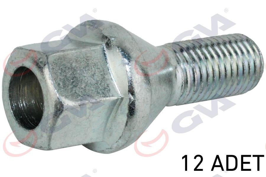 GVABijon Civatası Renault Megane-Clıo Y.M. Dacıa Duster-Logan Delikli Tip Paket 12GVA 8810126
