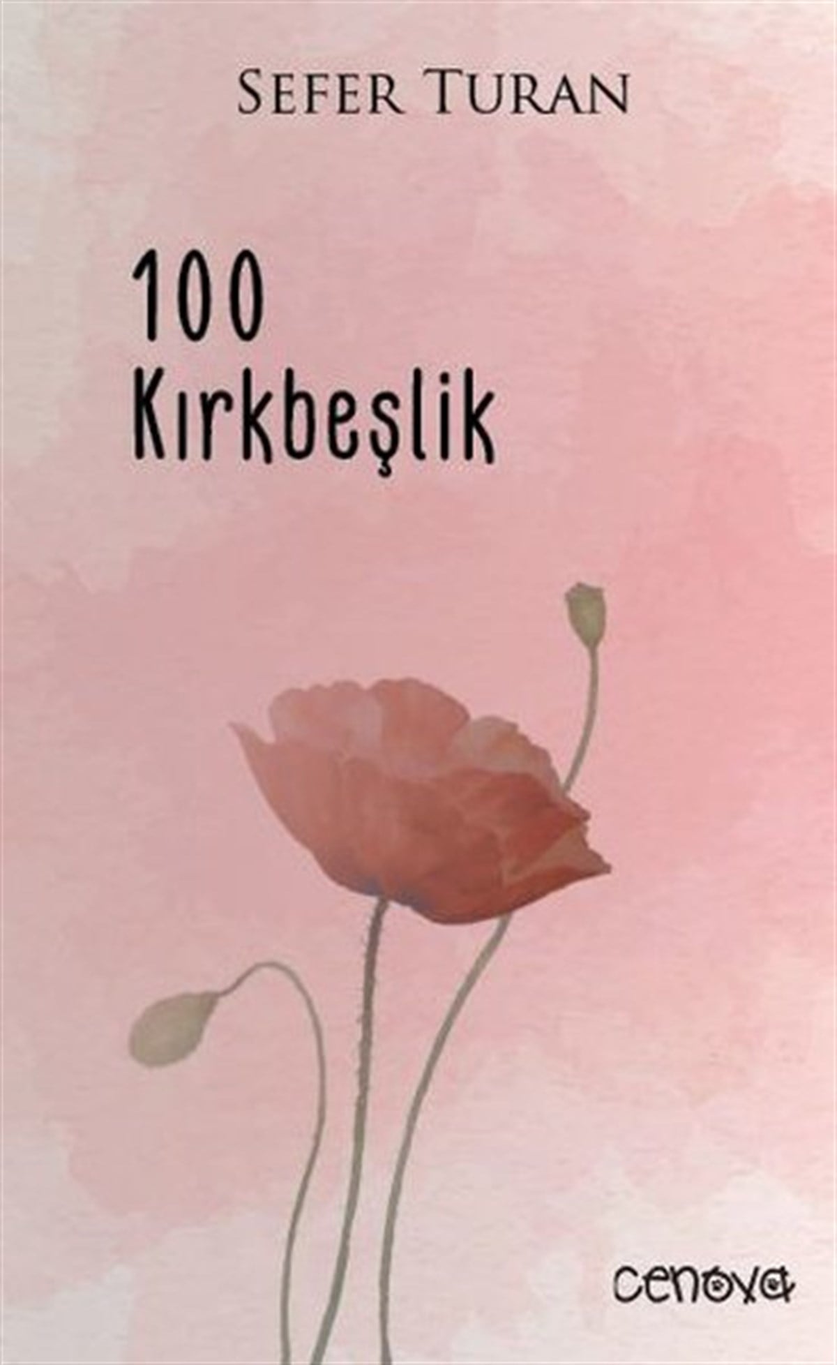 Sefer TuranTürk Şiiri100 Kırkbeşlik