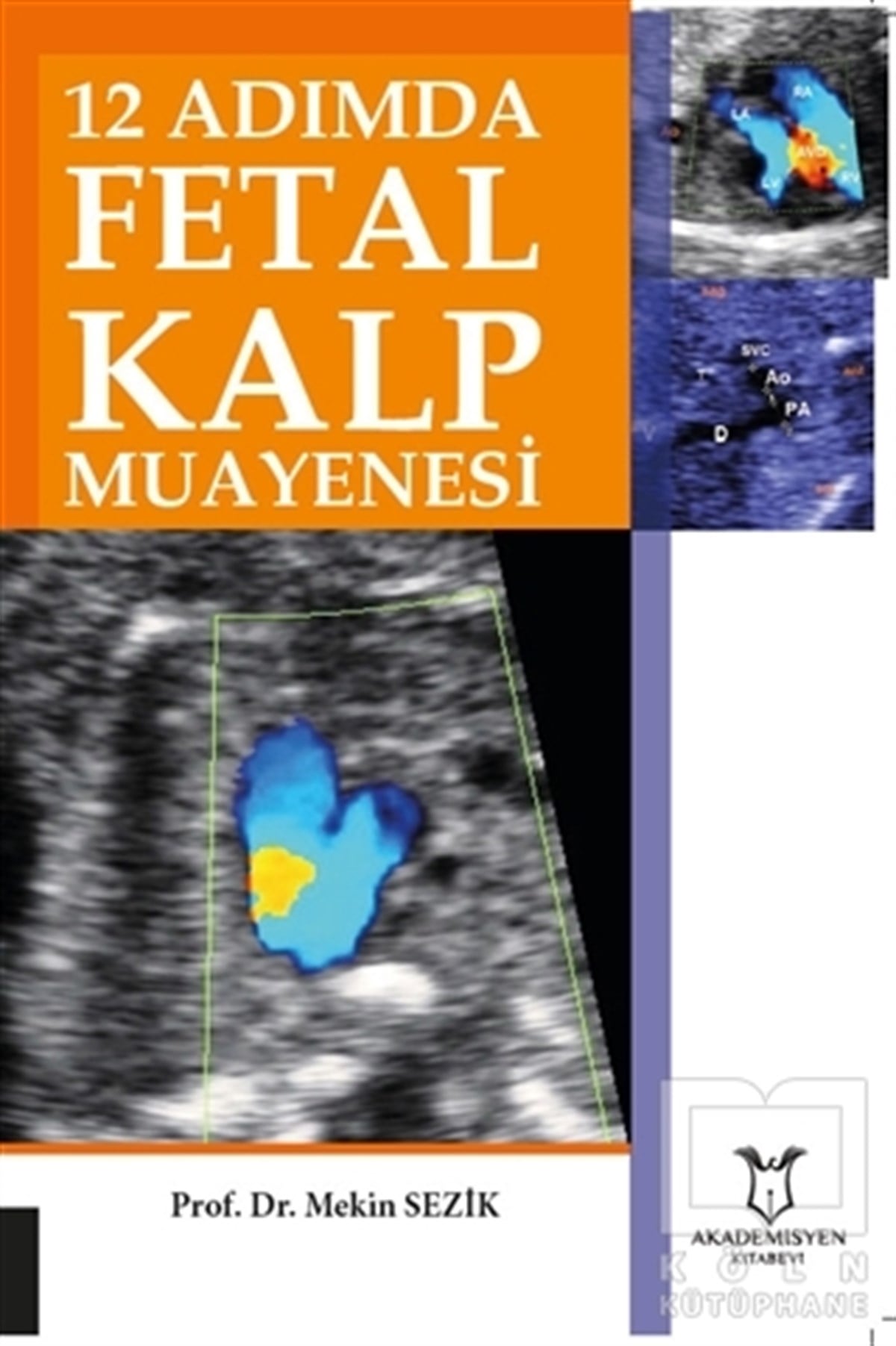 Mekin SezikBaşvuru Kitapları12 Adımda Fetal Kalp Muayenesi