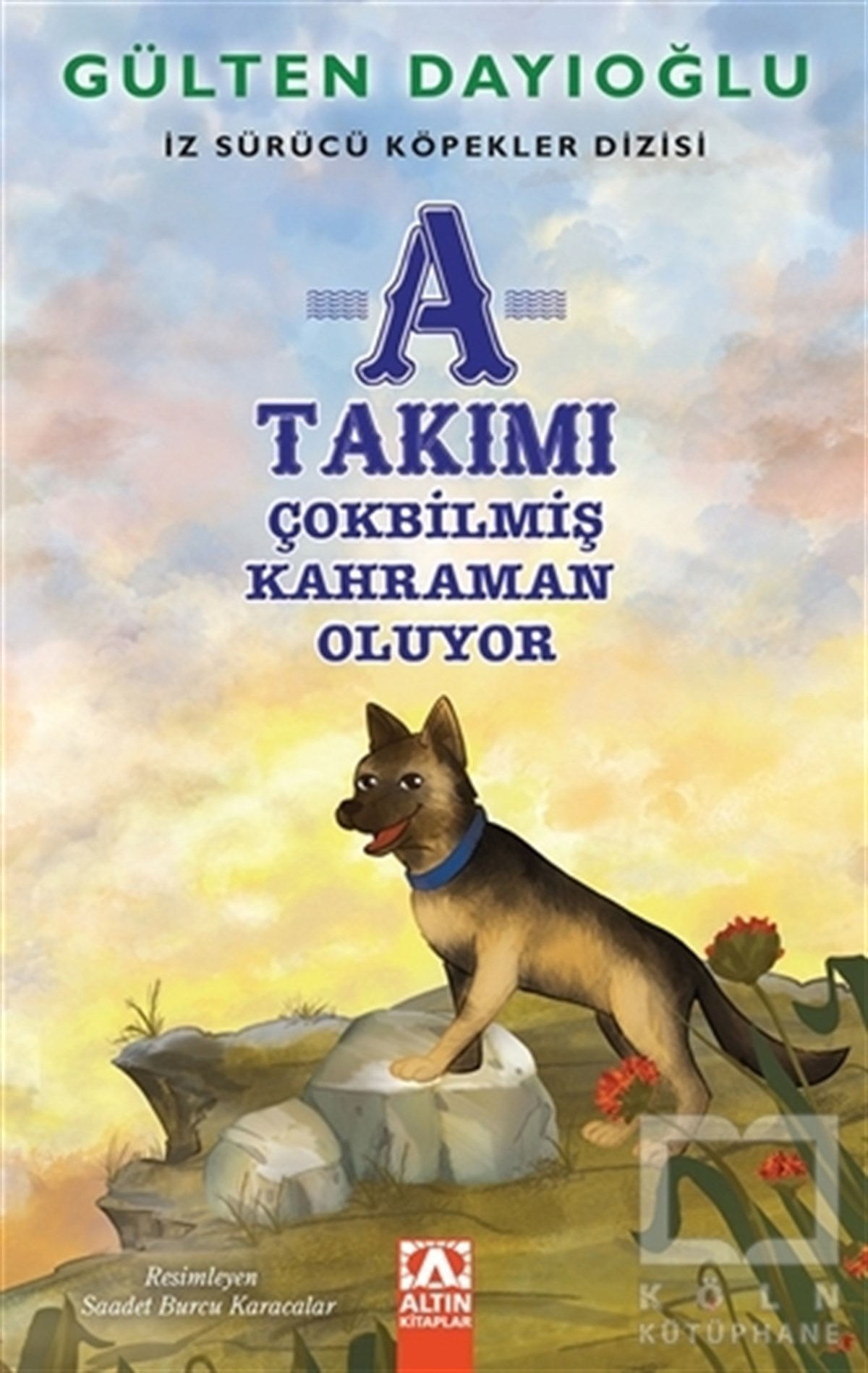 Gülten DayıoğluRoman-ÖyküA Takımı - Çokbilmiş Kahraman Oluyor