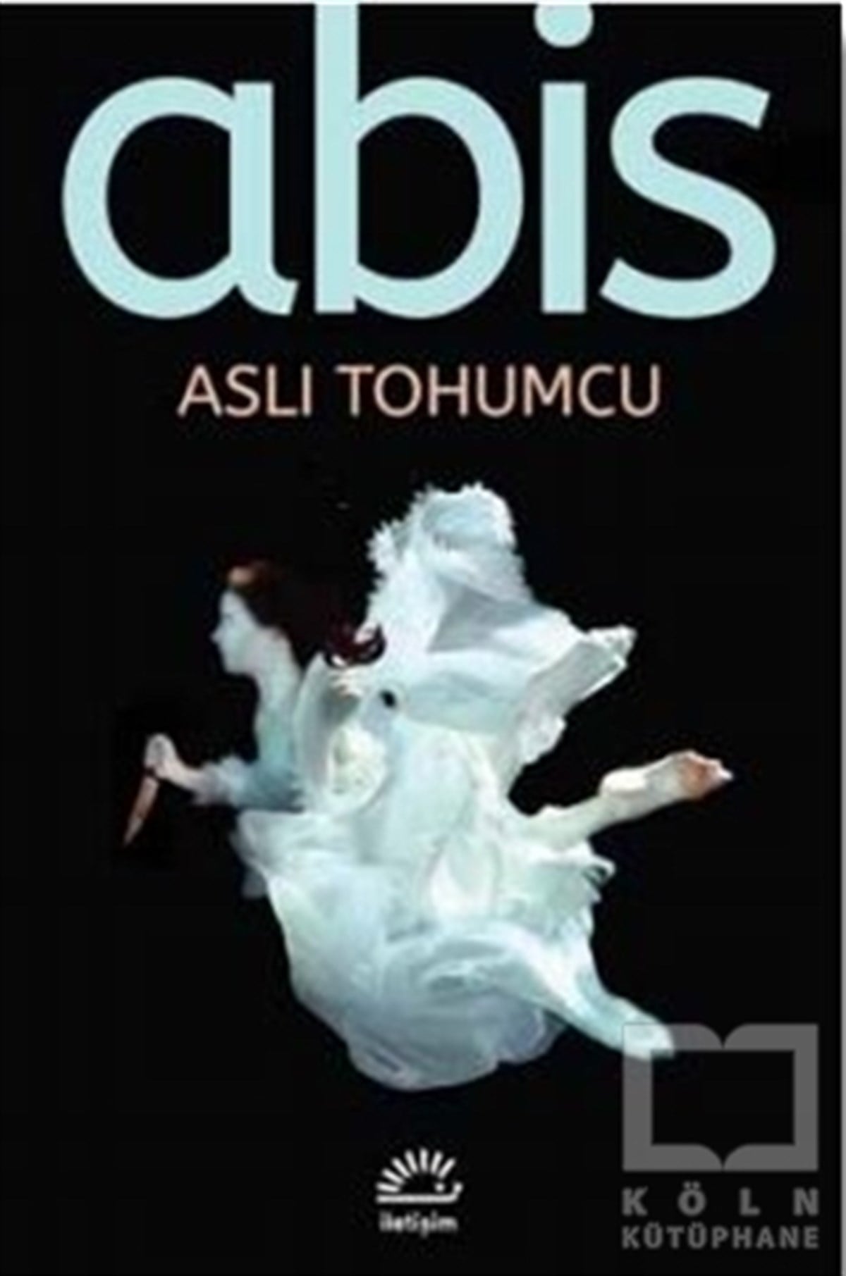 Aslı TohumcuÖyküAbis