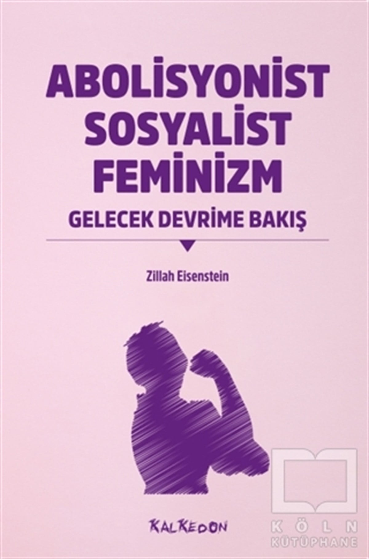 Zillah R. EisensteinAraştırma & İnceleme ve Referans KitaplarıAbolisyonist Sosyalist Feminizm