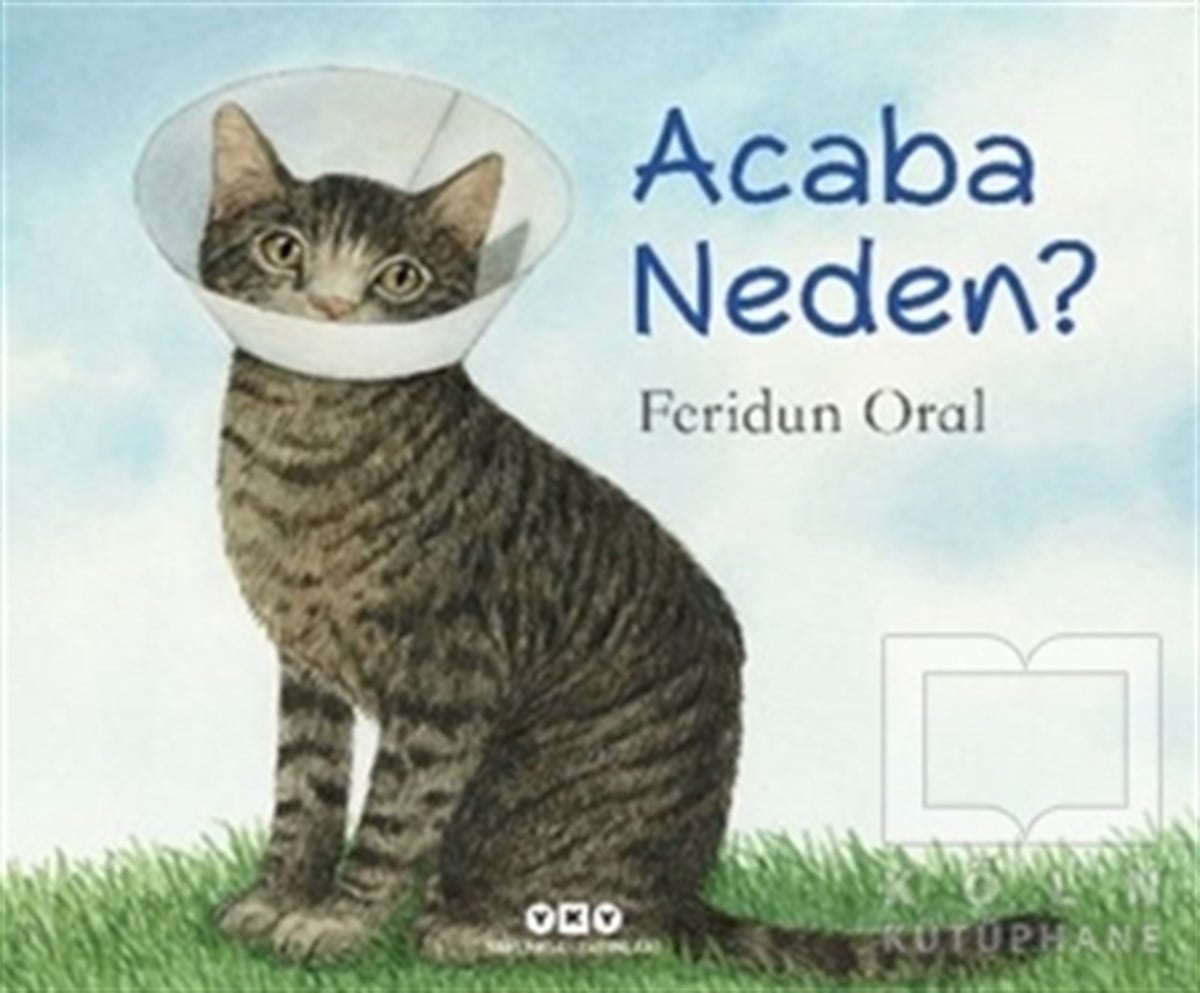 Feridun OralÇocuk RomanlarıAcaba Neden?