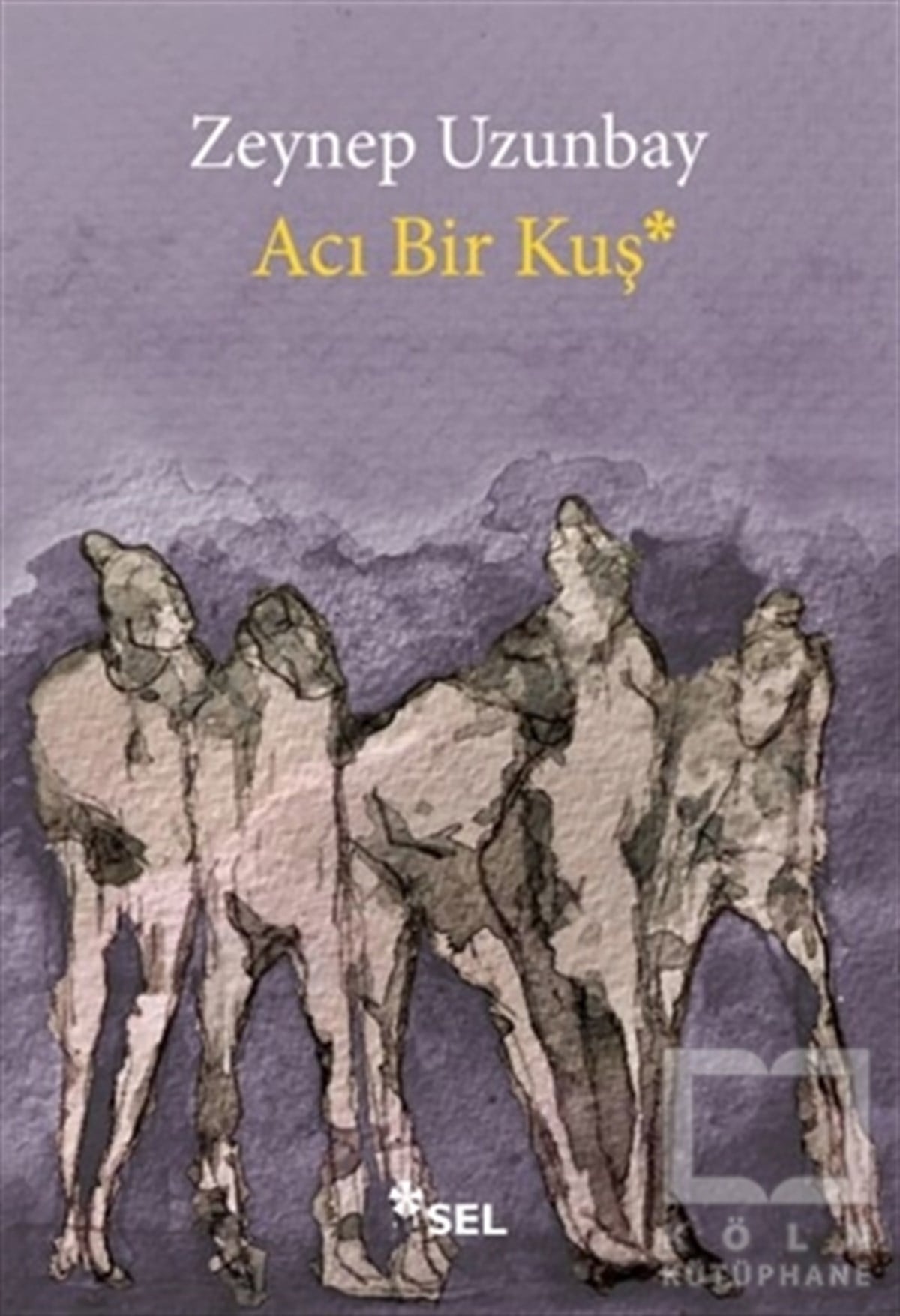 Zeynep UzunbayTürkçe RomanlarAcı Bir Kuş
