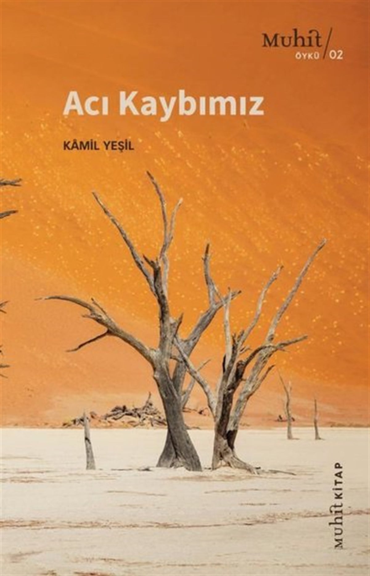 Kamil YeşilTürkiye RomanAcı Kaybımız