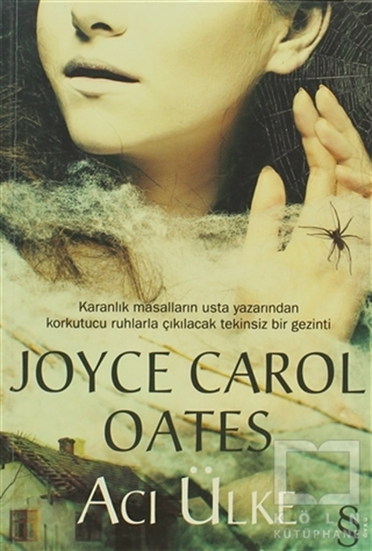 Joyce Carol OatesAmerikan EdebiyatıAcı Ülke