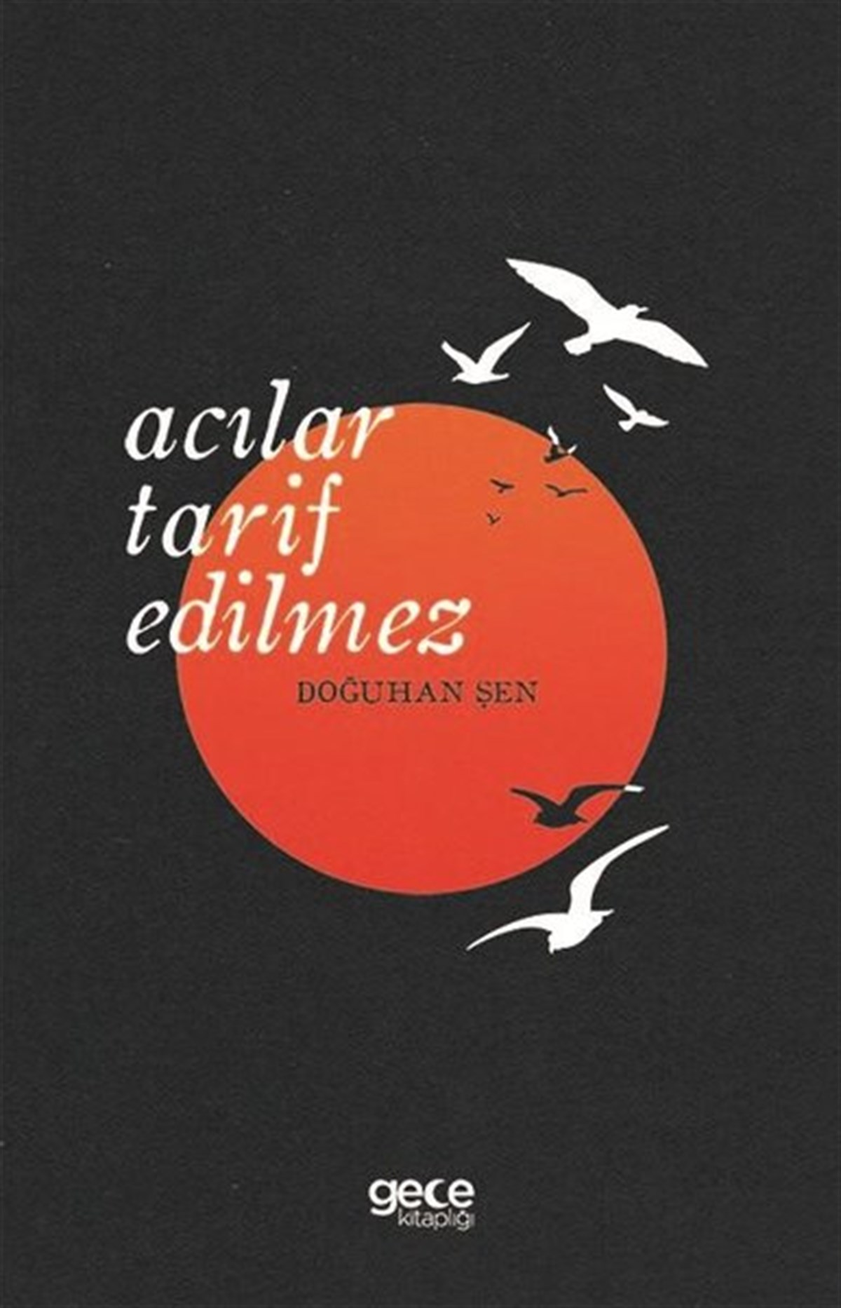 Doğuhan ŞenDeneme KitaplarıAcılar Tarif Edilmez
