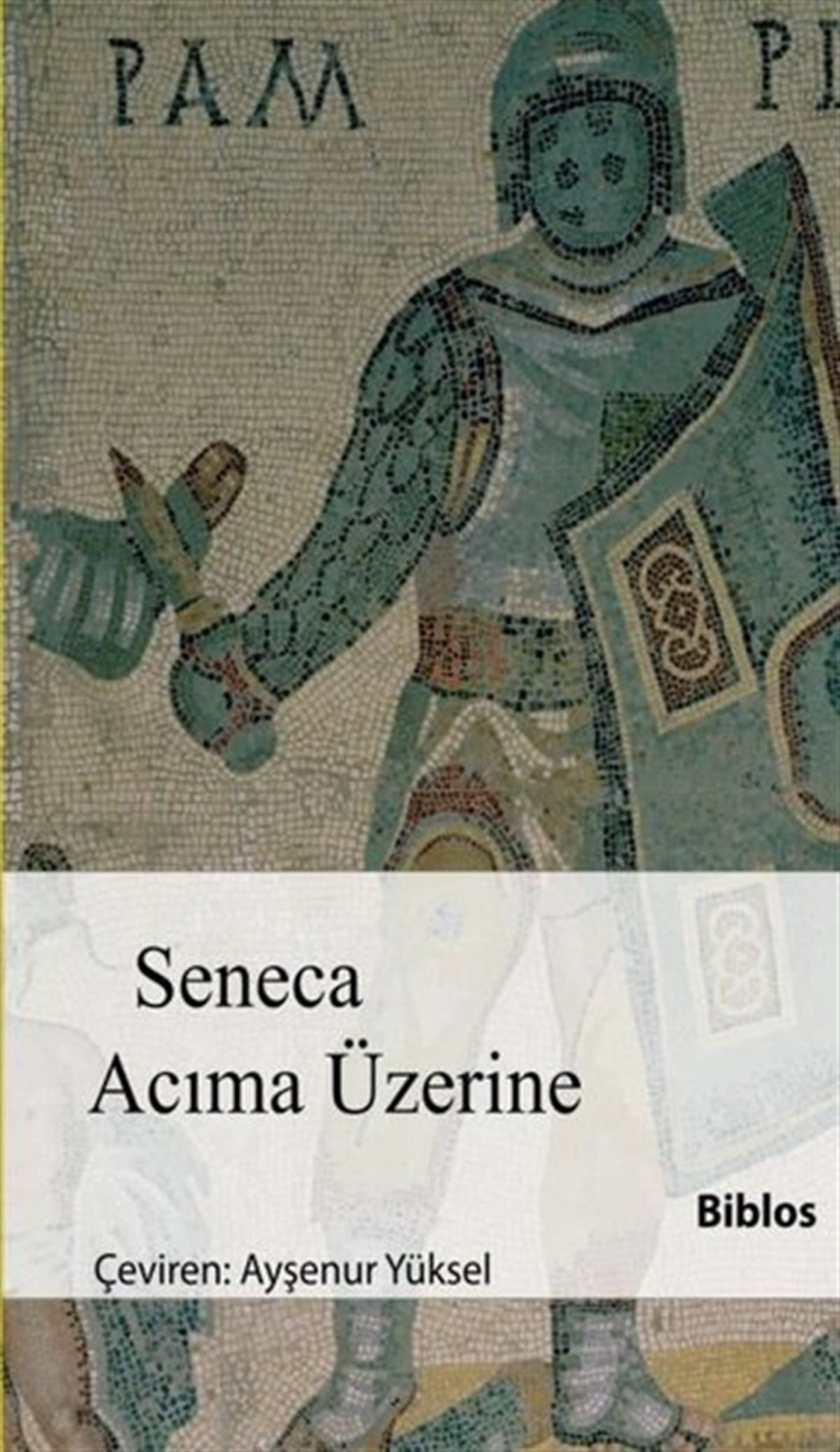 Lucius Annaeus SenecaFelsefe BilimiAcıma Üzerine