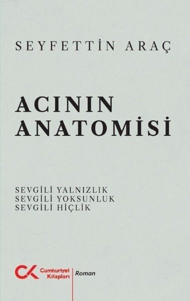 Seyfettin AraçTürk RomaniAcının Anatomisi