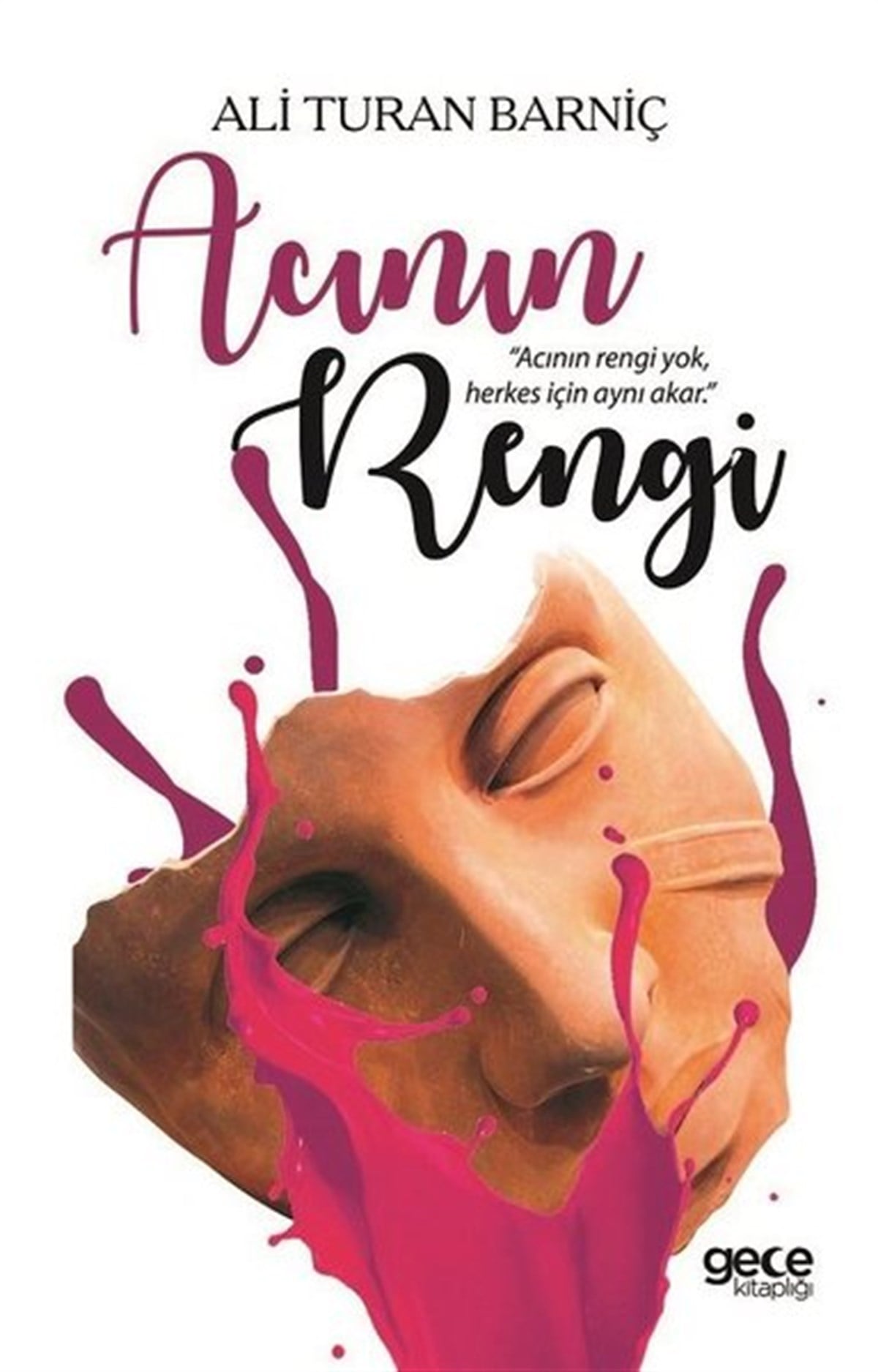 Ali Turan BarnıçTürkiye RomanAcının Rengi