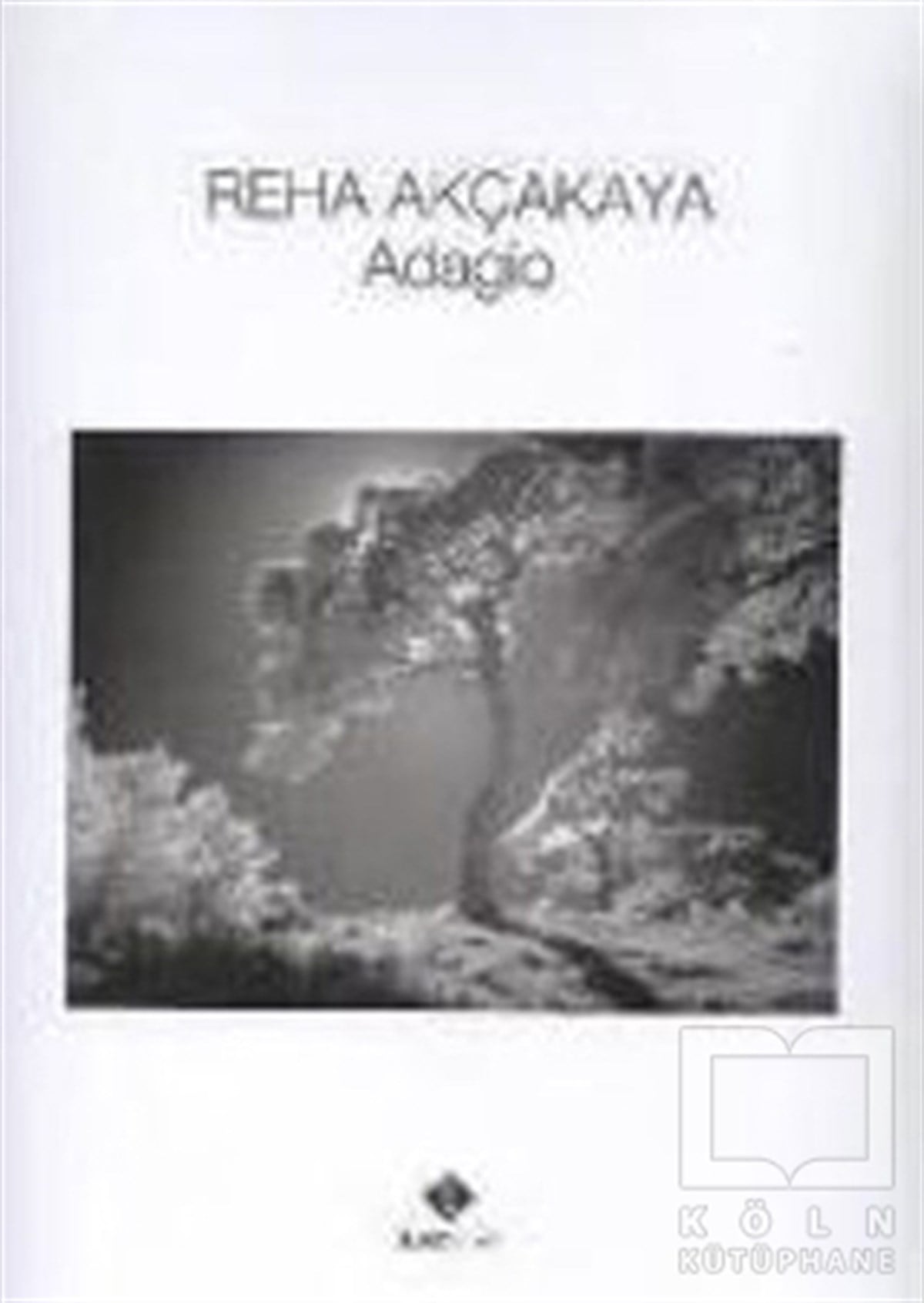 Reha AkçakayaFotoğrafçılık KitaplarıAdagio