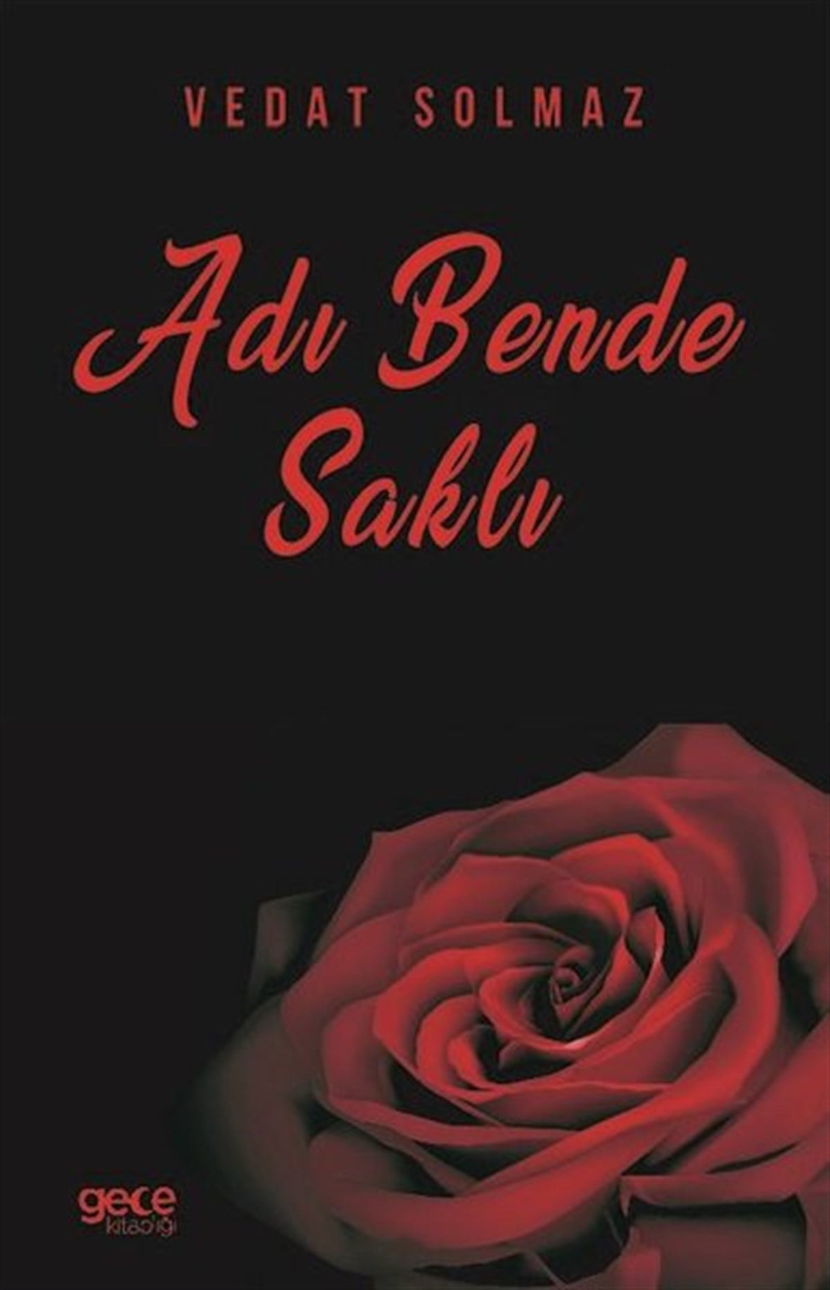 Vedat SolmazDeneme KitaplarıAdı Bende Saklı