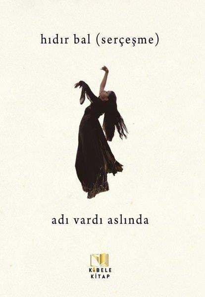 Hıdır BalTürk ŞiiriAdı Vardı Aslında