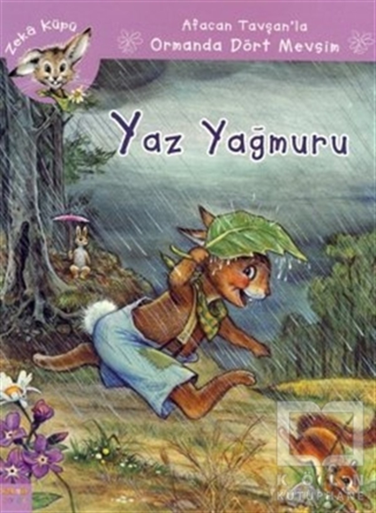 Jeanne HiverRoman-ÖyküAfacan Tavşanla Ormanda Dört Mevsim / Yaz Yağmuru