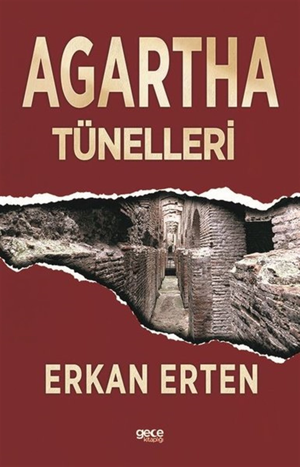Erkan ErtenTürkiye RomanAgartha Tünelleri