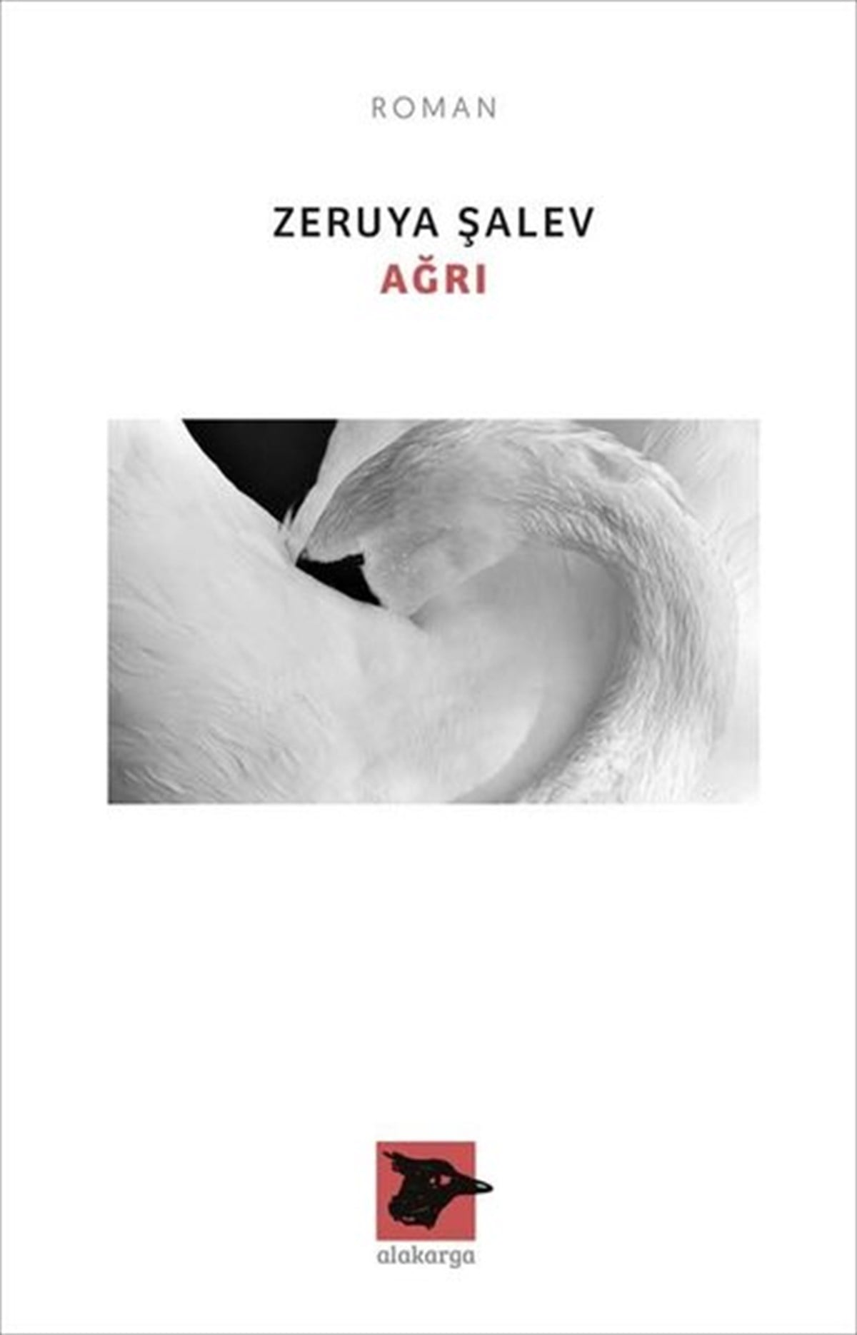 Zeruya ŞalevDünya RomanAğrı