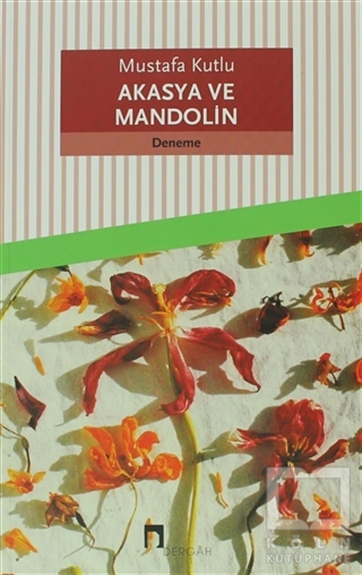 Mustafa KutluDenemeAkasya ve Mandolin