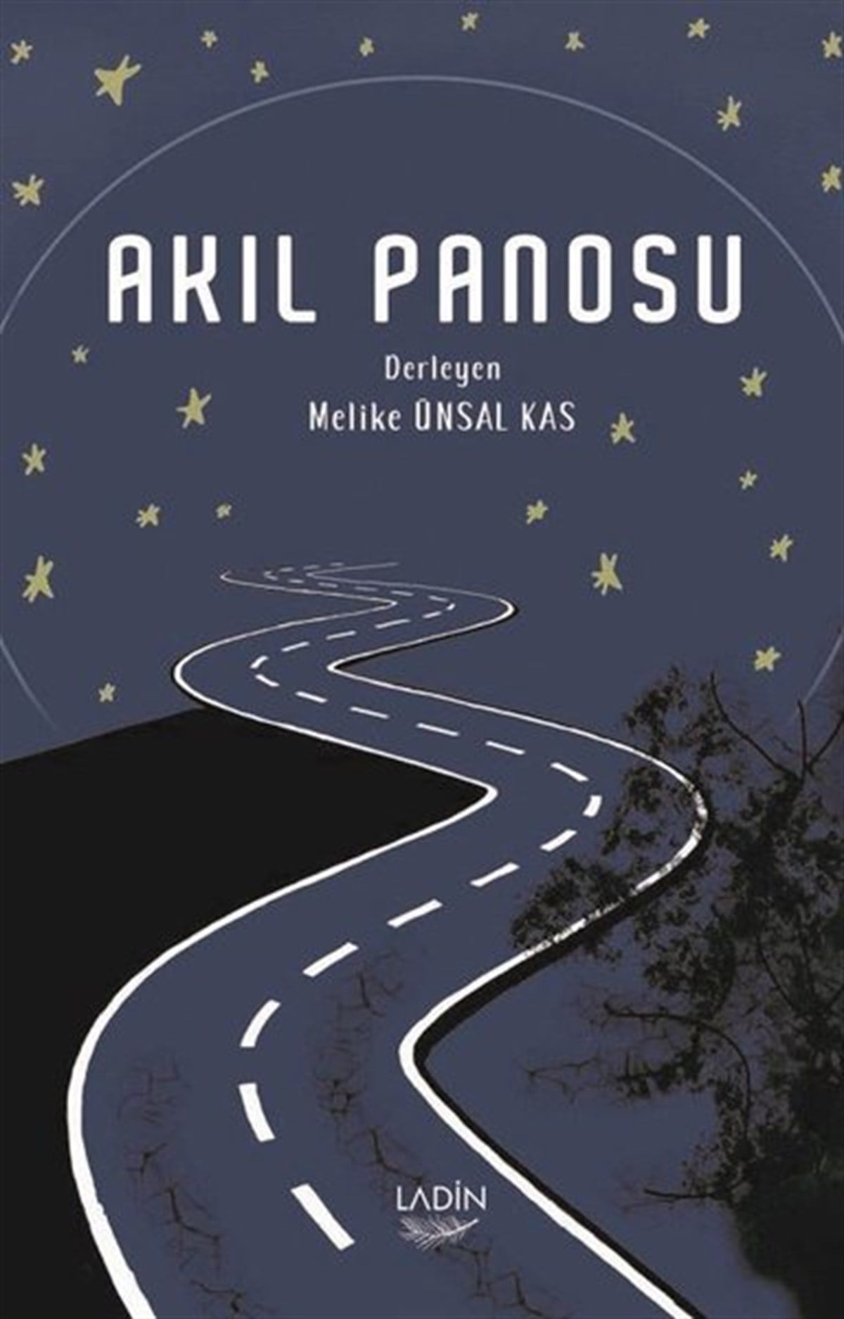 KolektifDeneme KitaplarıAkıl Panosu
