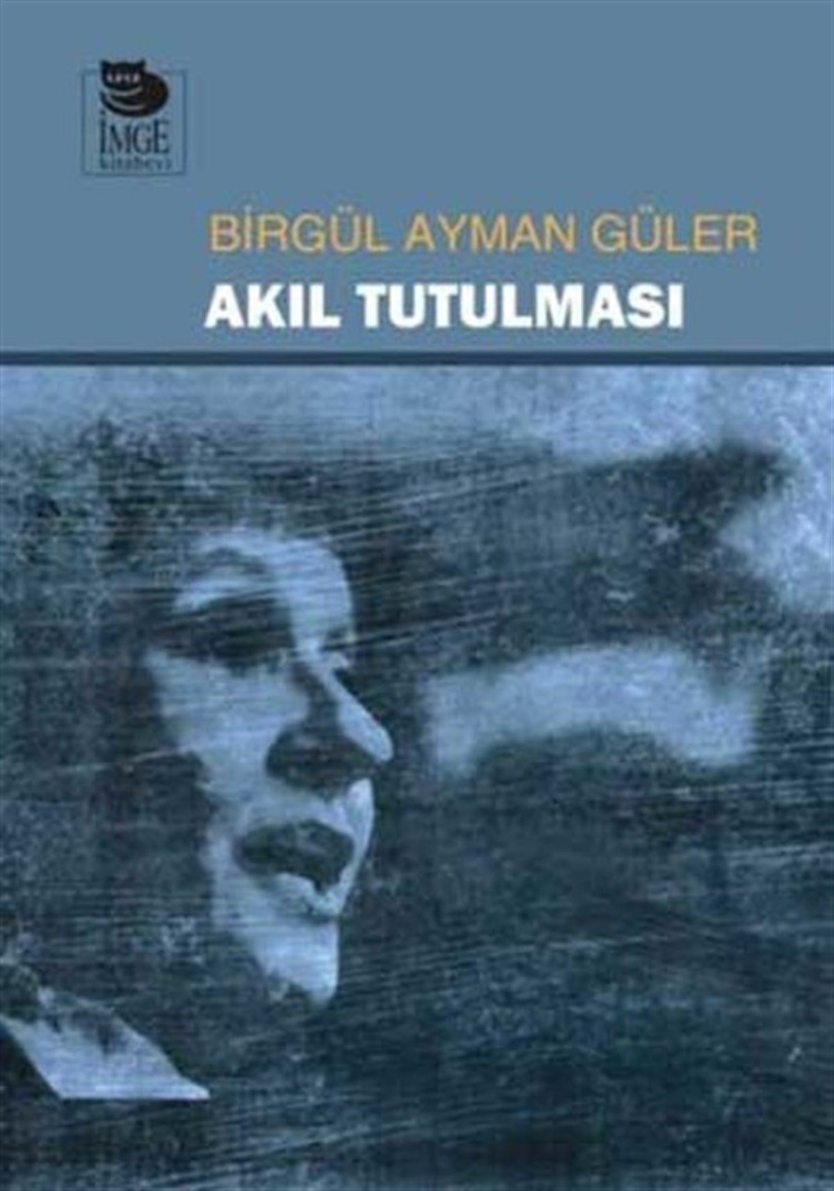 Birgül Ayman GülerTürkiye Siyaseti ve Politikası KitaplarıAkıl Tutulması