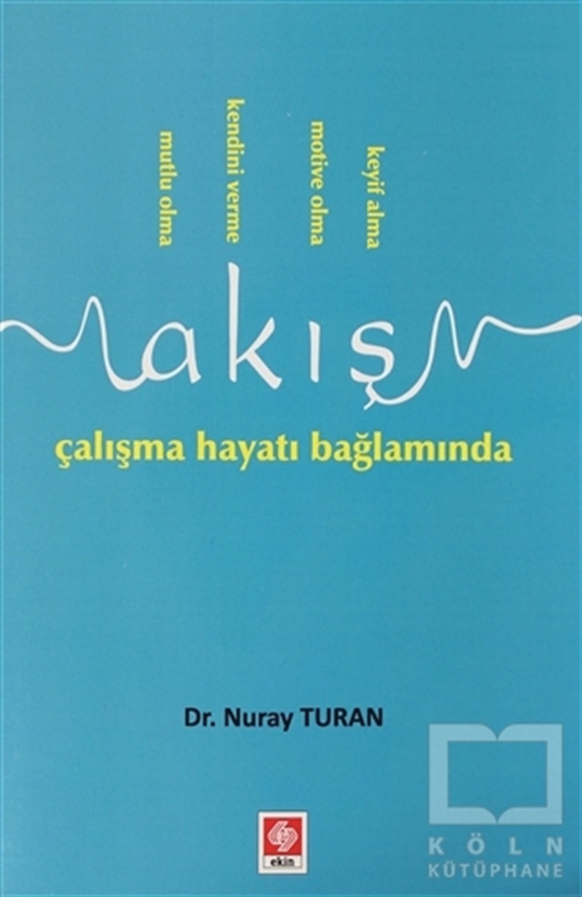 Nuray Turanİş Dünyası KitaplarıAkış Çalışma Hayatı Bağlamında