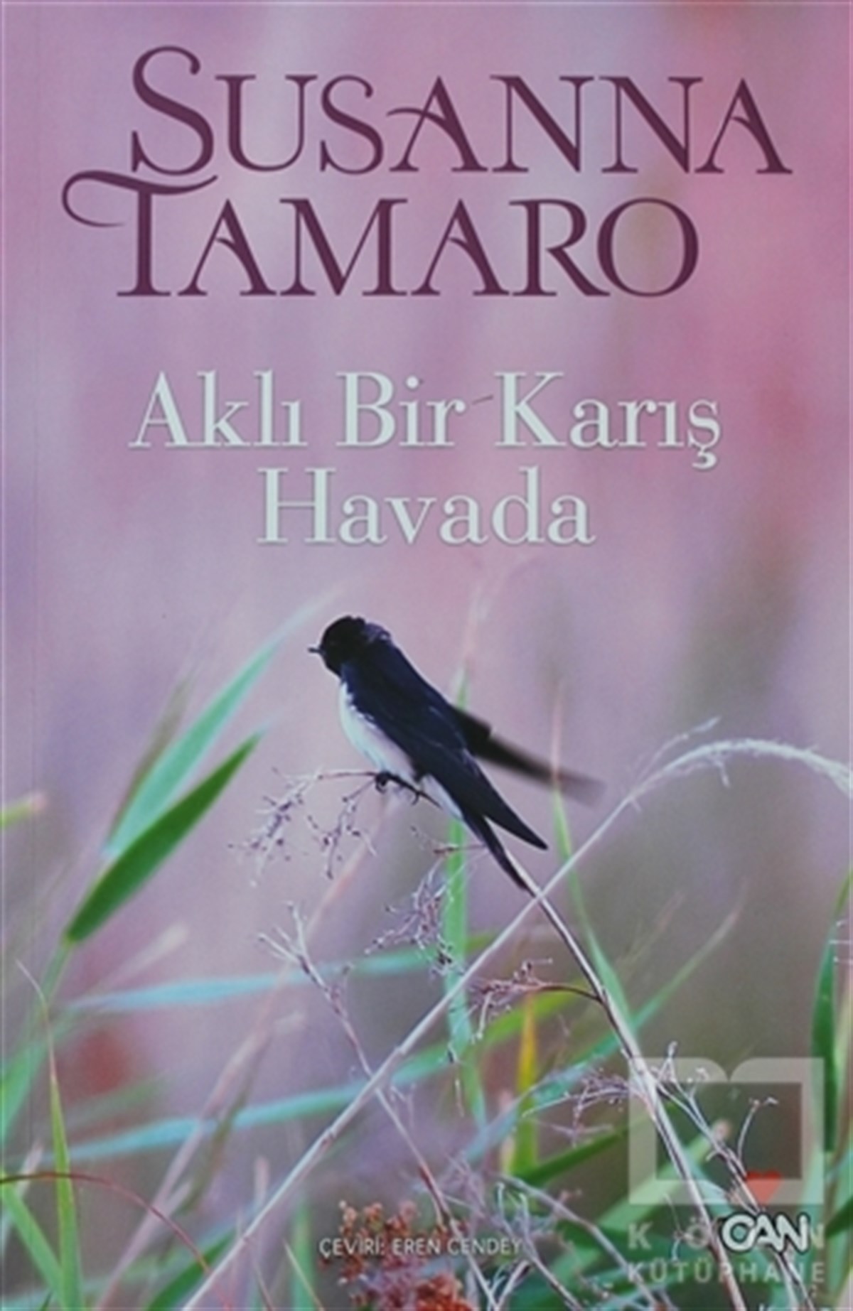 Susanna Tamaroİtalyan EdebiyatıAklı Bir Karış Havada