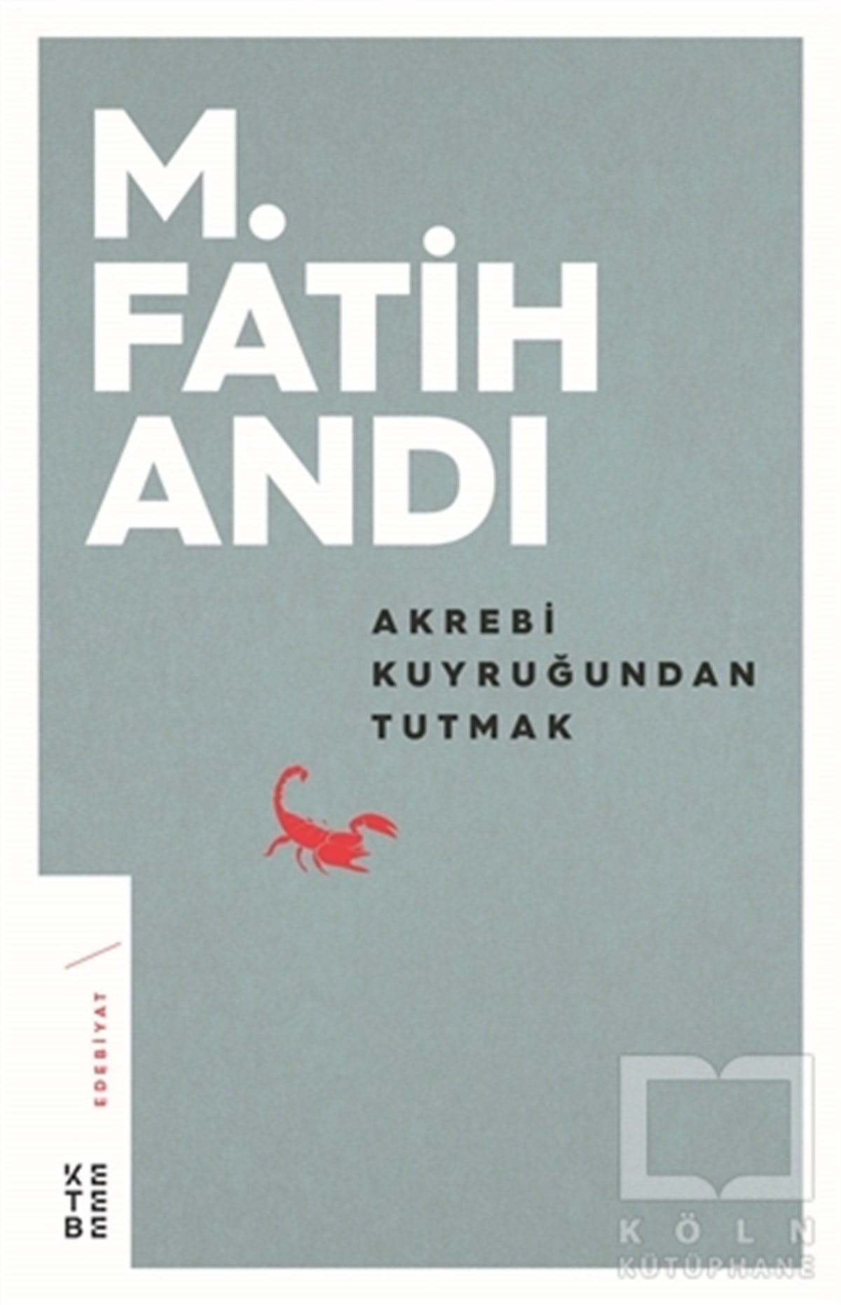 M. Fatih AndıRomanAkrebi Kuyruğundan Tutmak