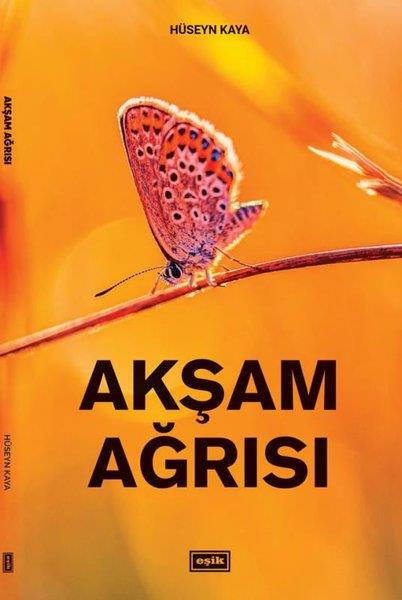 Hüseyin KayaDeneme KitaplarıAkşam Ağrısı